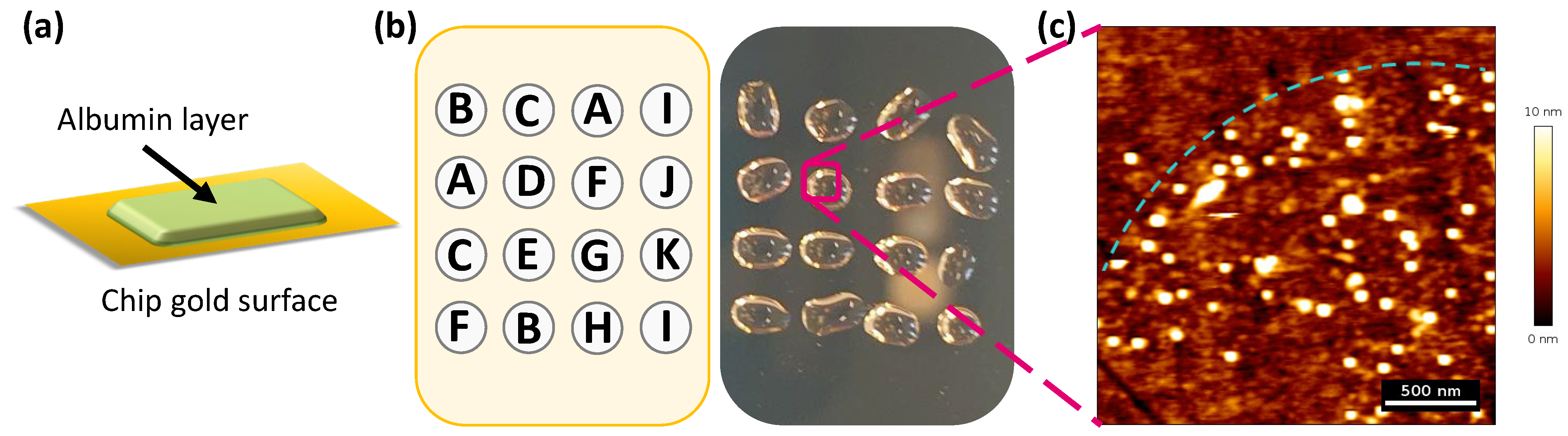 Molecules 29 05270 g007