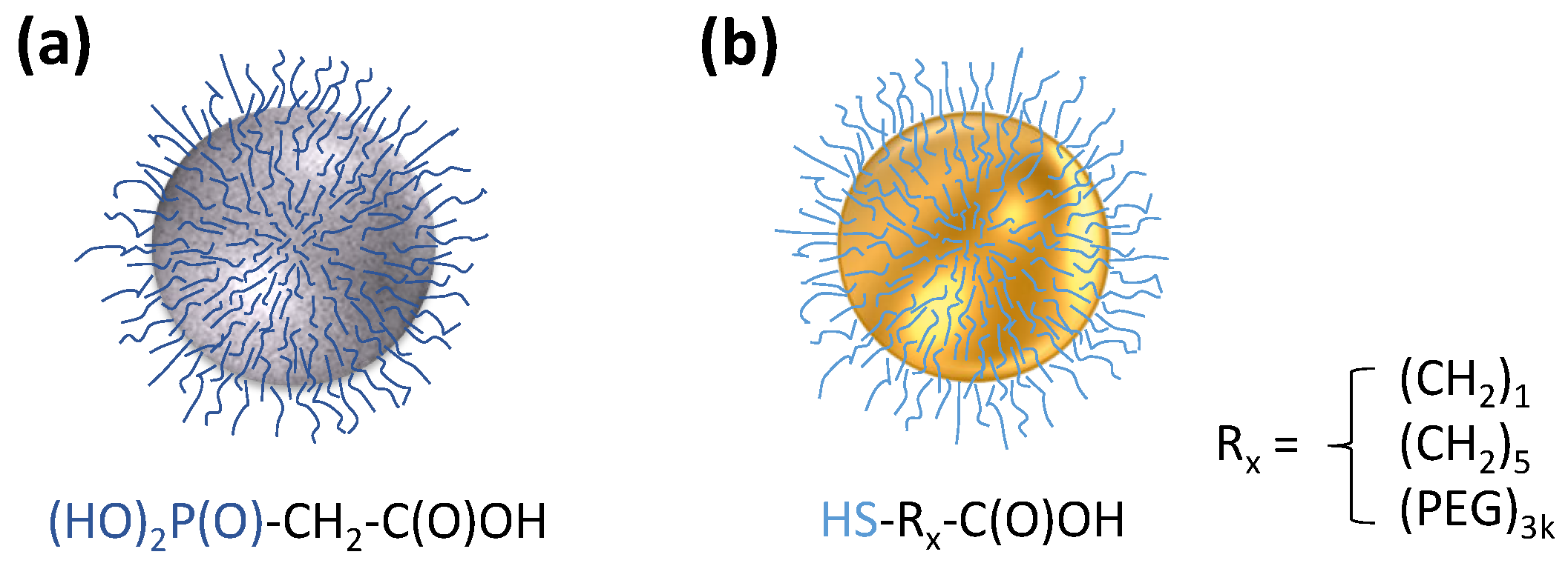 Molecules 29 05270 sch002