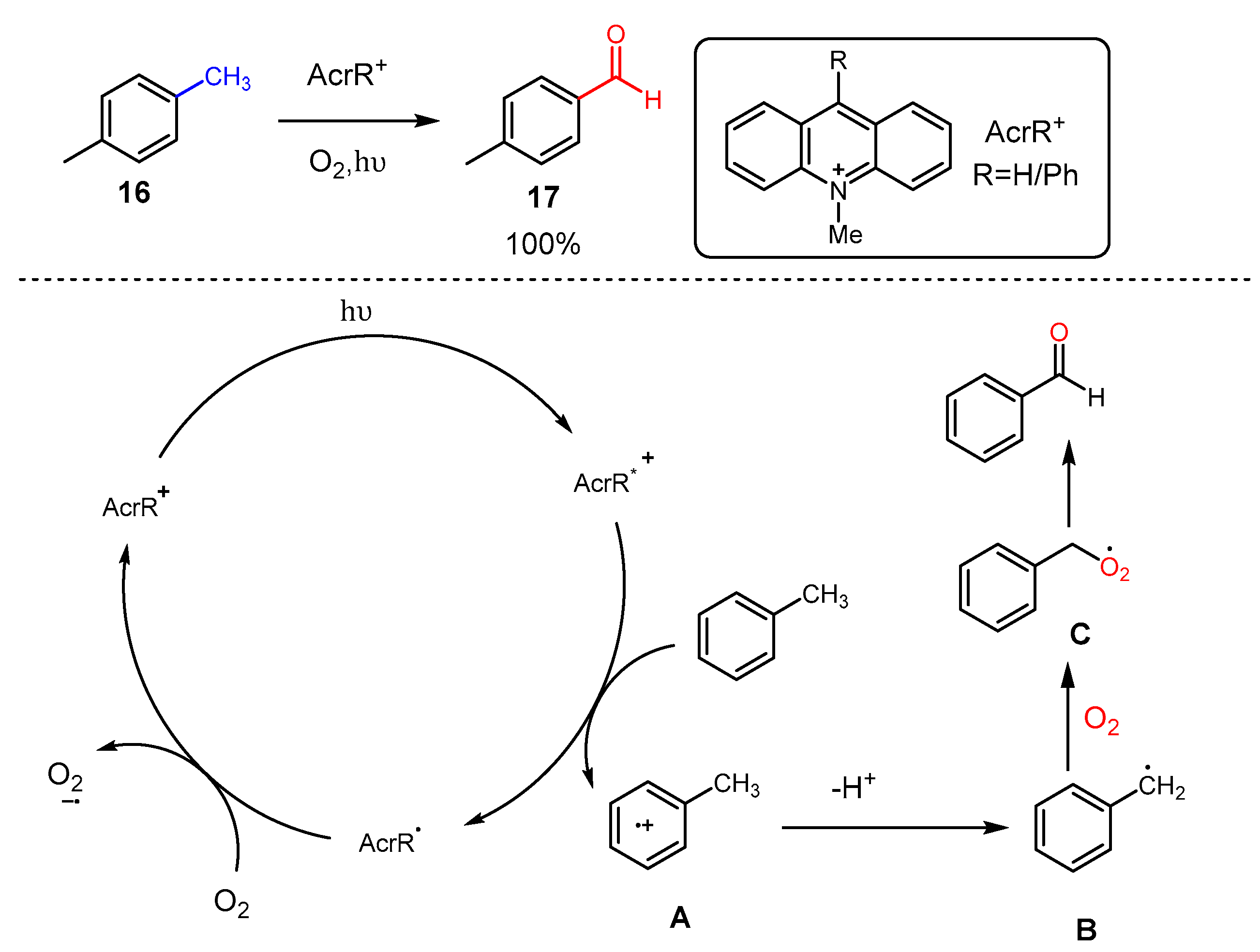 Molecules 29 05277 sch003
