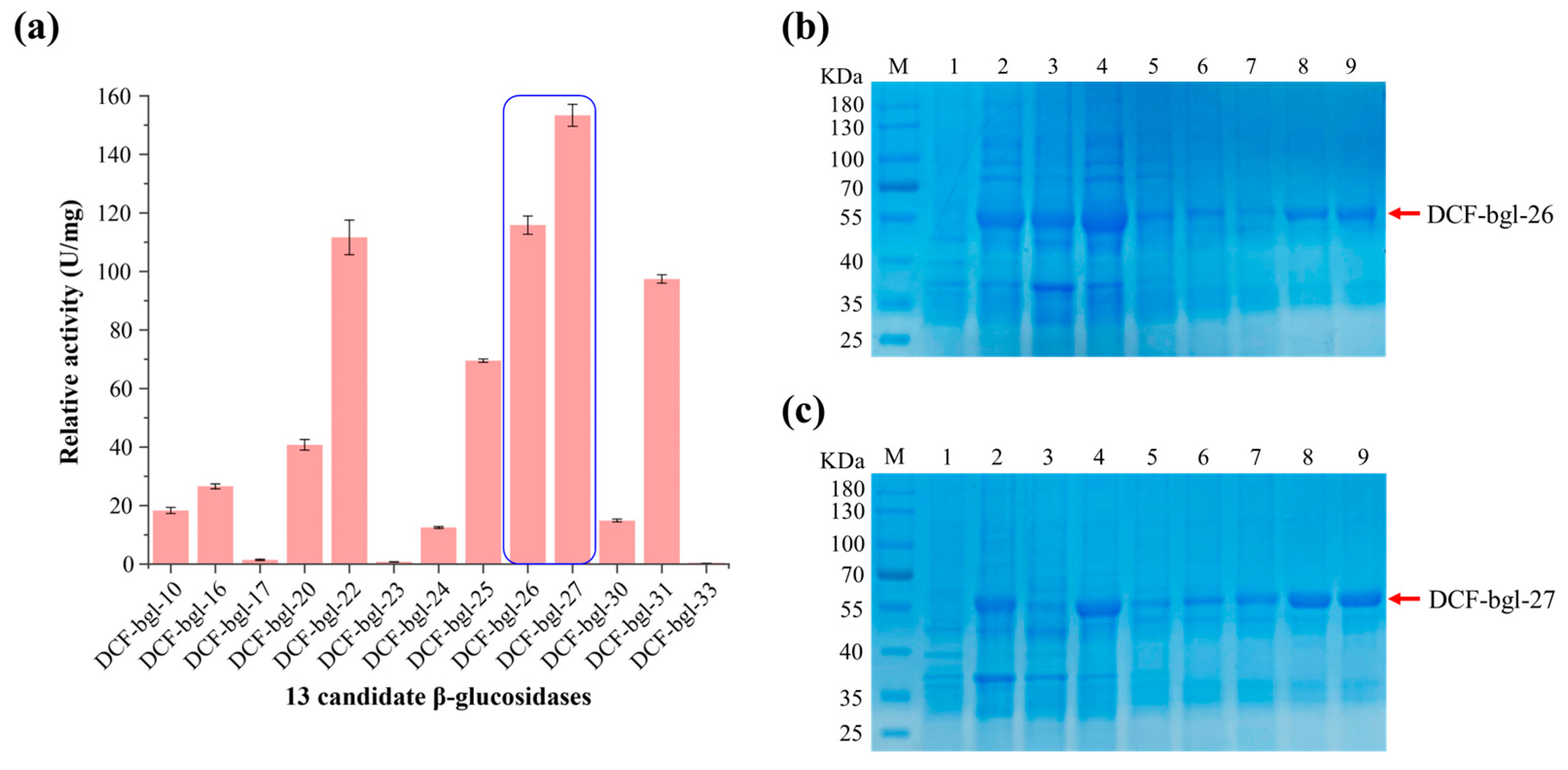 Molecules 29 05280 g002
