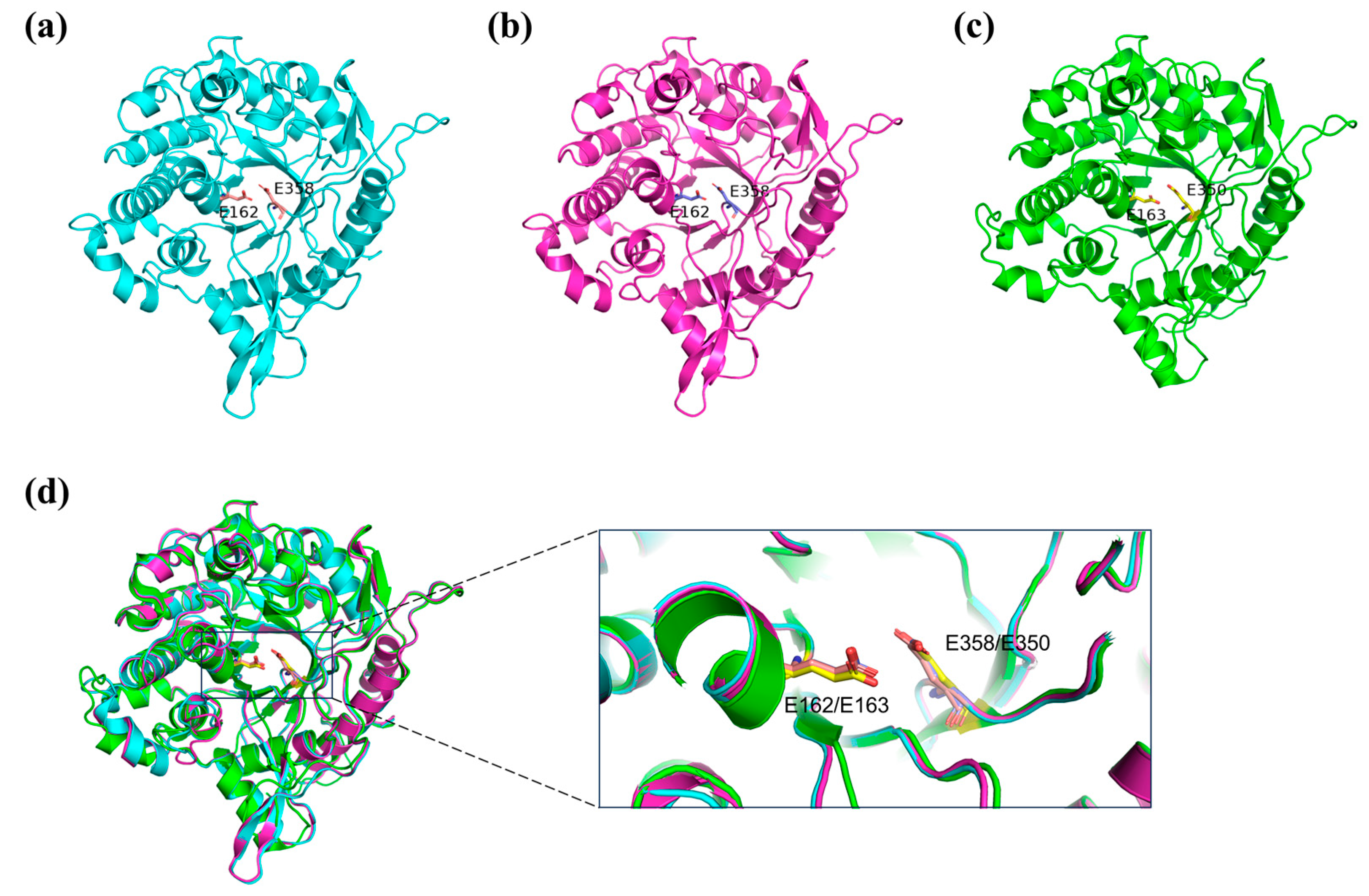 Molecules 29 05280 g005