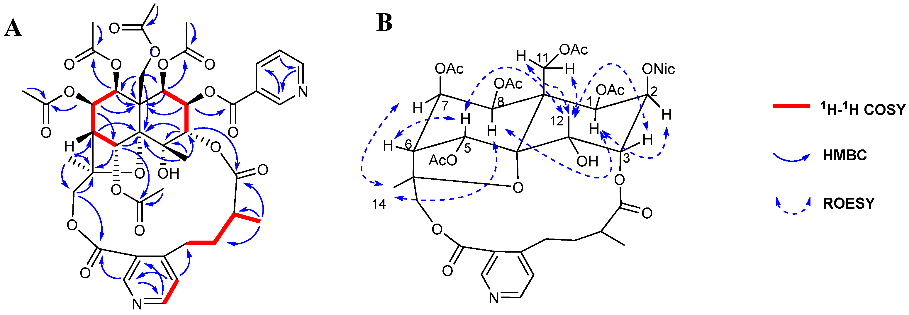 Molecules 29 05284 g002