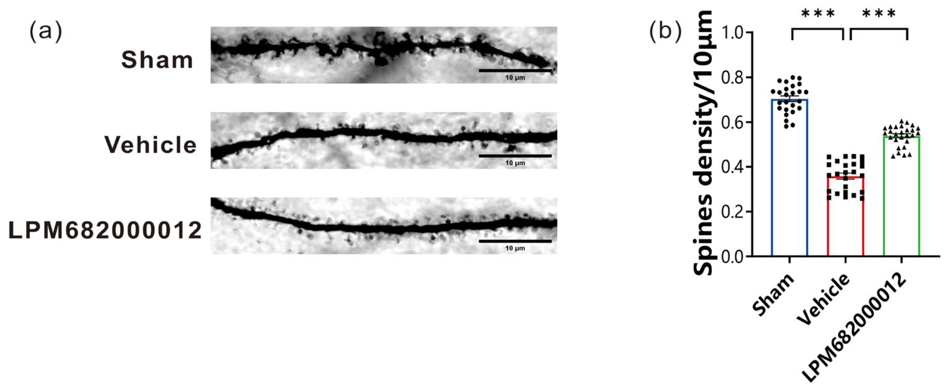 Molecules 29 05286 g006 Molecules 29 05286 g006