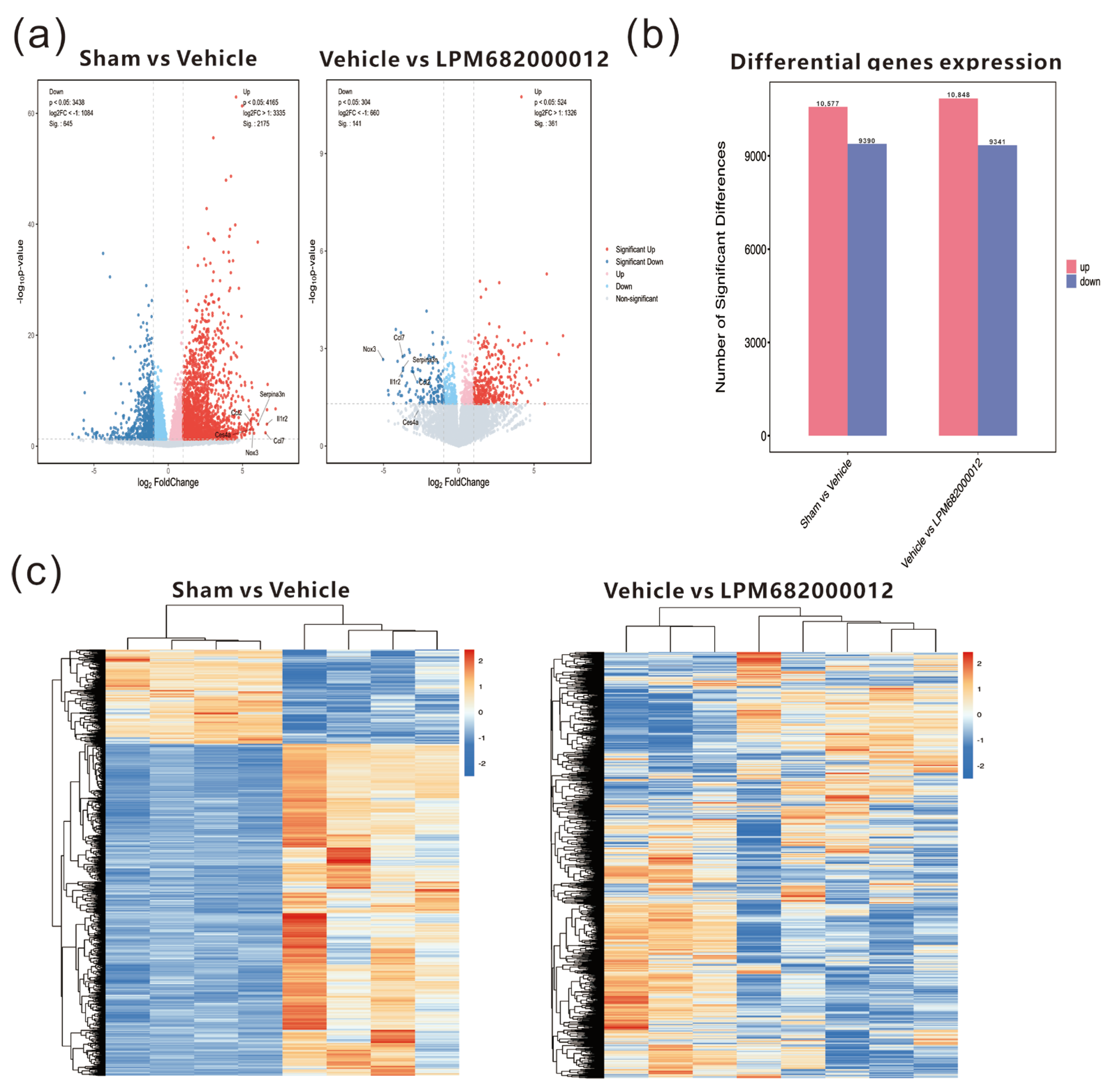 Molecules 29 05286 g007 Molecules 29 05286 g007