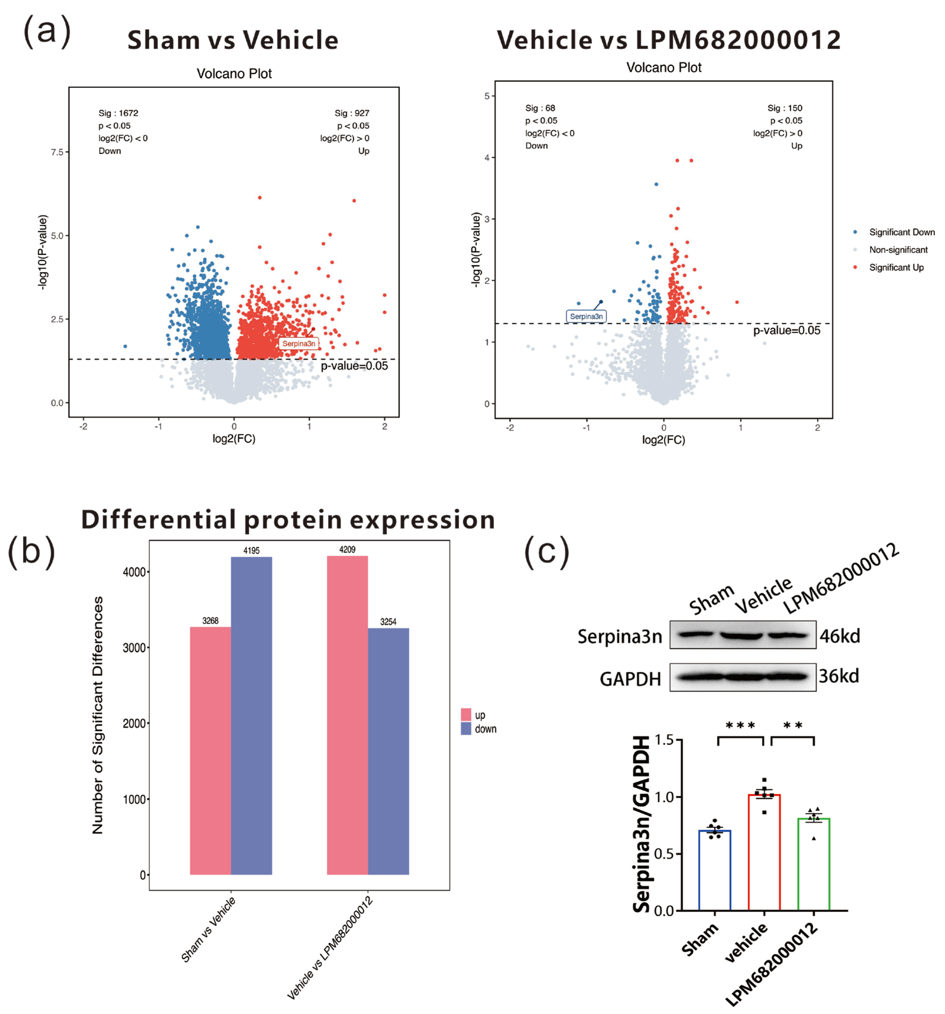 Molecules 29 05286 g009 Molecules 29 05286 g009