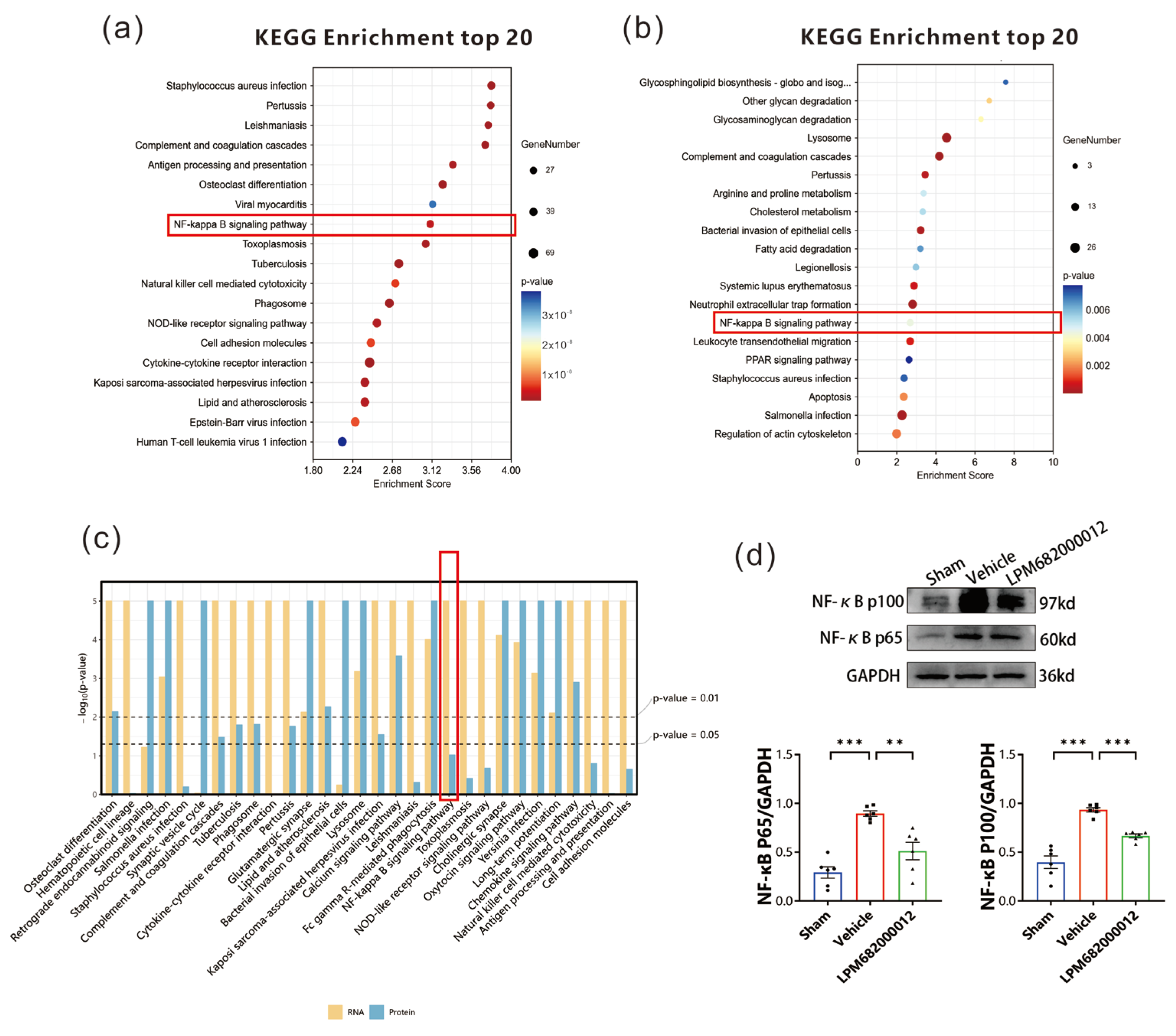 Molecules 29 05286 g010 Molecules 29 05286 g010