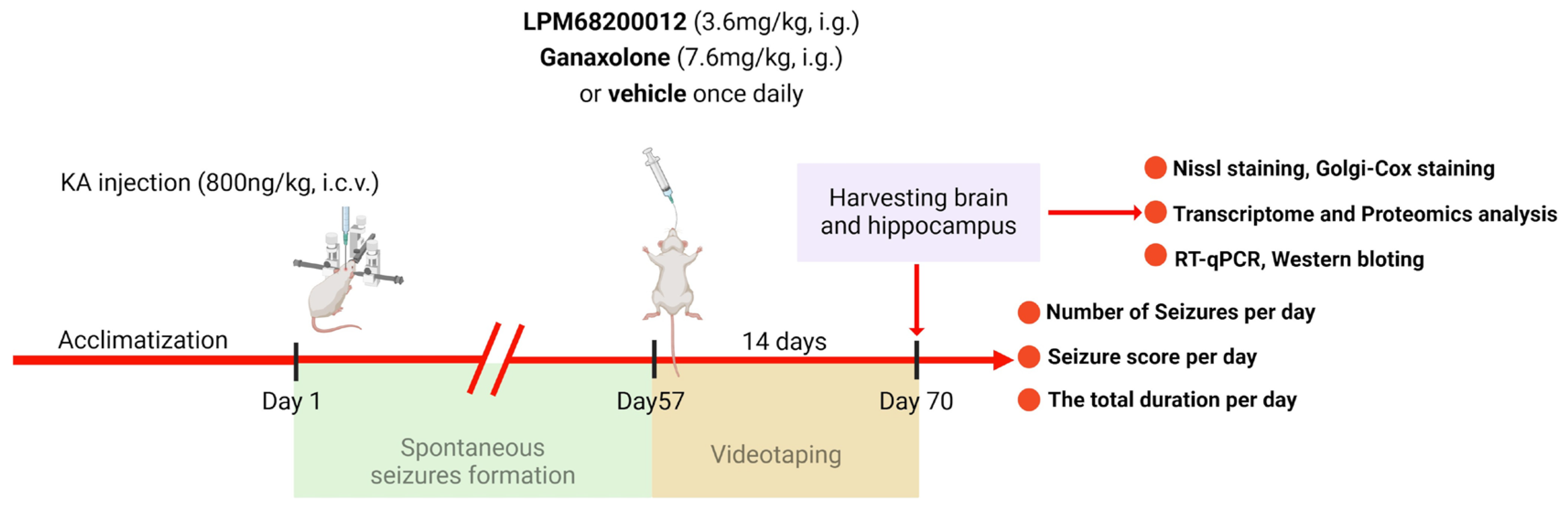 Molecules 29 05286 g013 Molecules 29 05286 g013