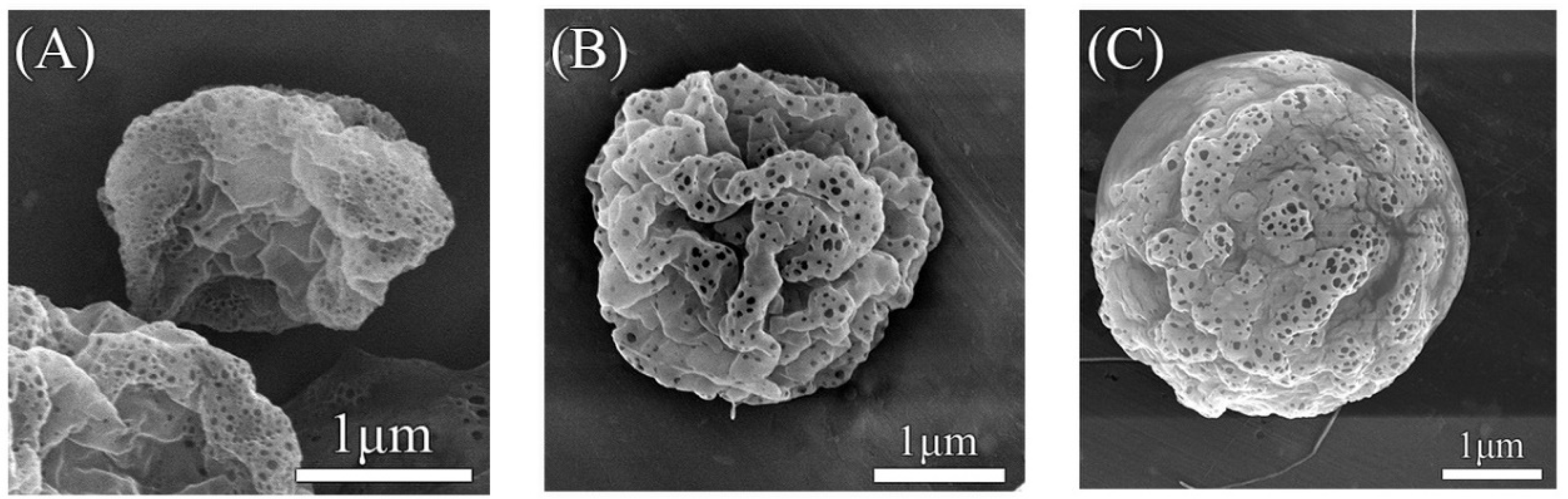 Molecules 29 05291 g004