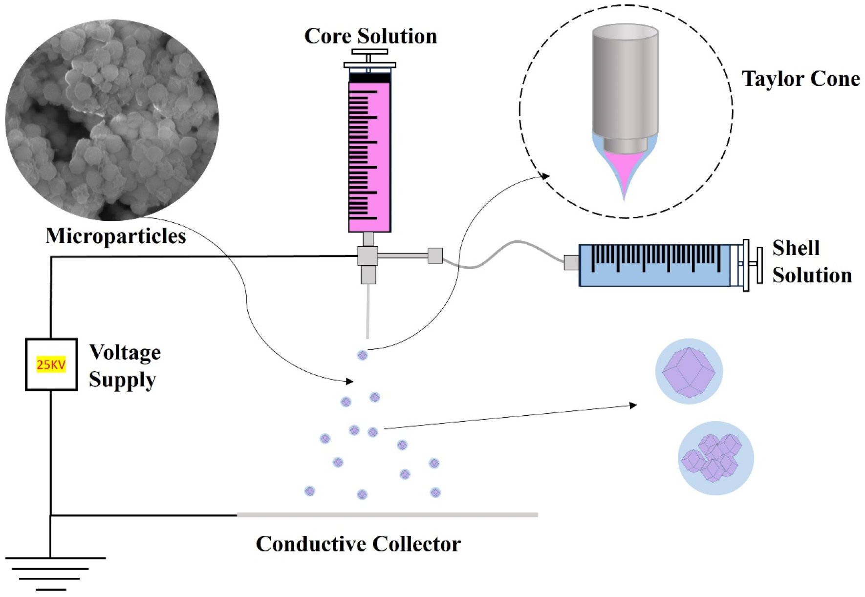 Molecules 29 05291 g012