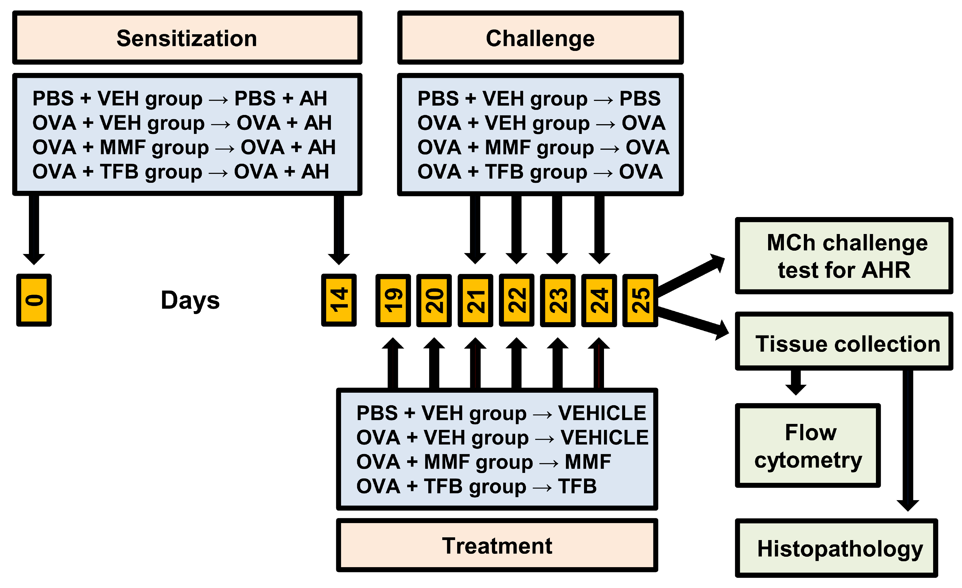 Molecules 29 05293 g006
