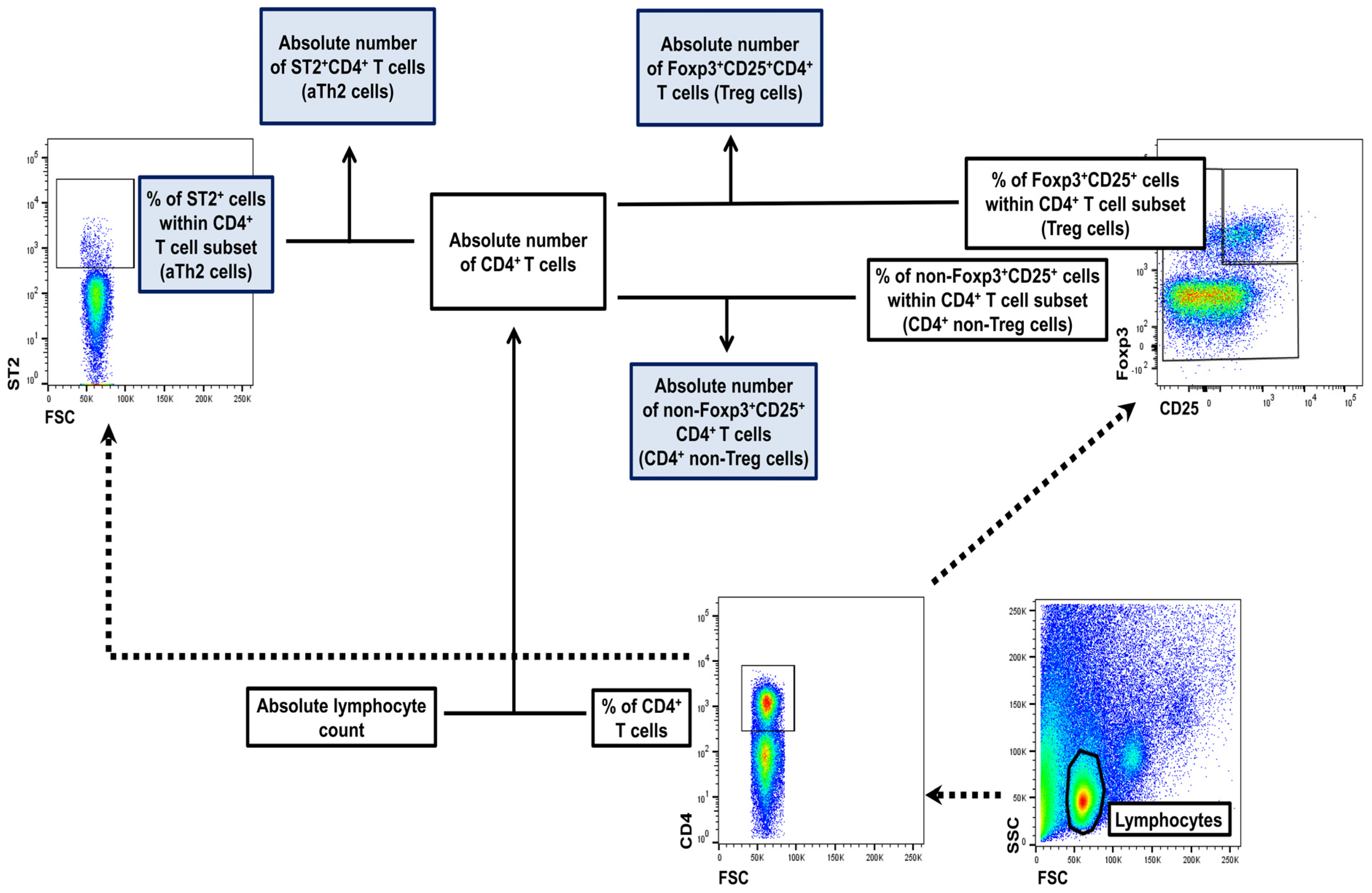 Molecules 29 05293 g007
