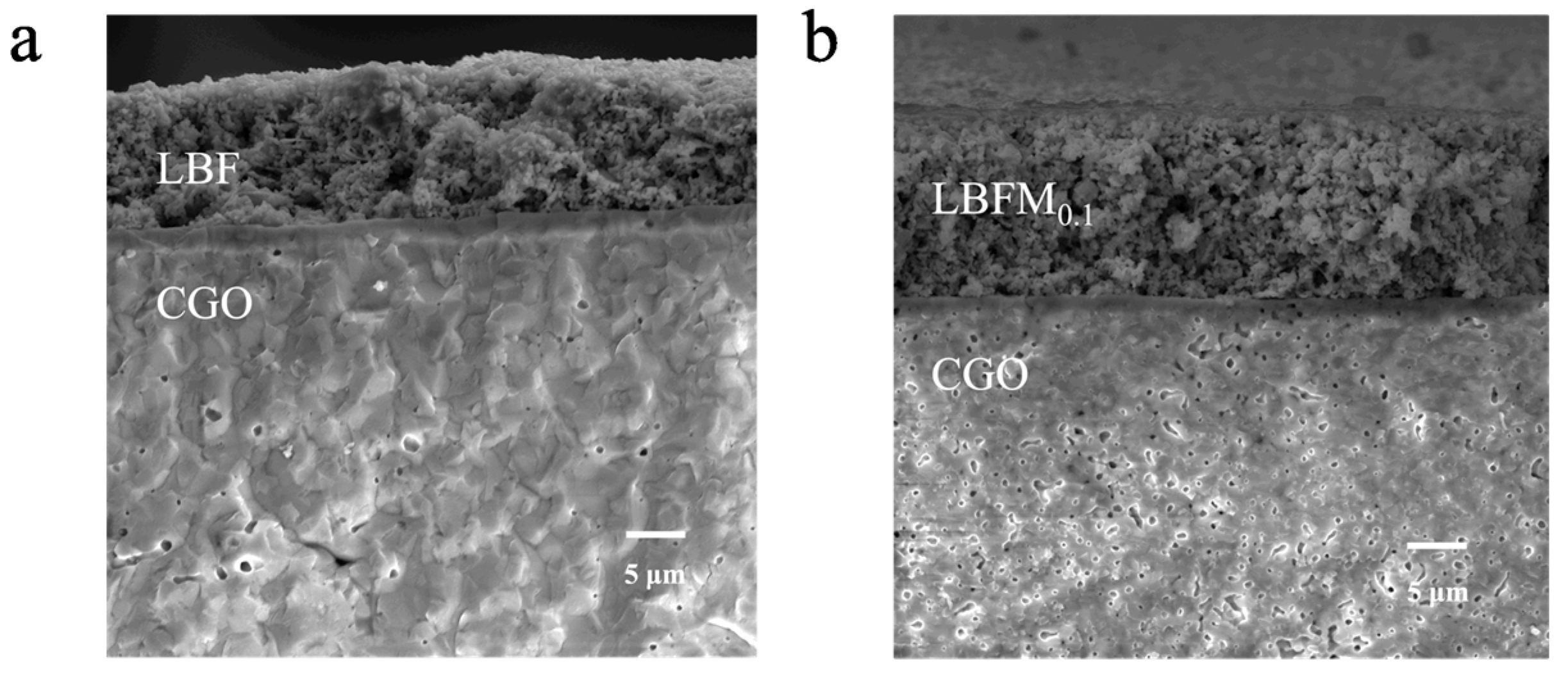 Molecules 29 05299 g007