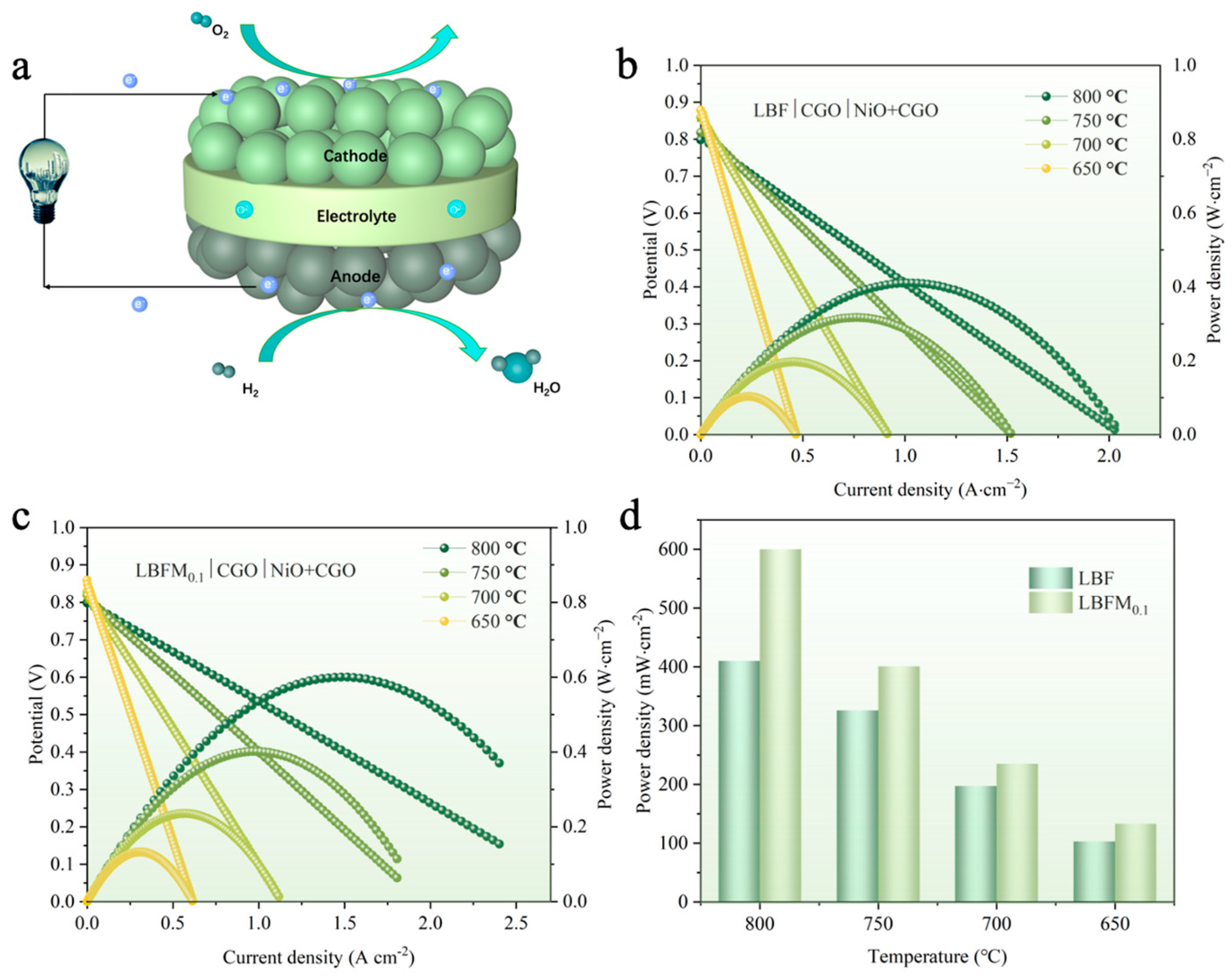 Molecules 29 05299 g009