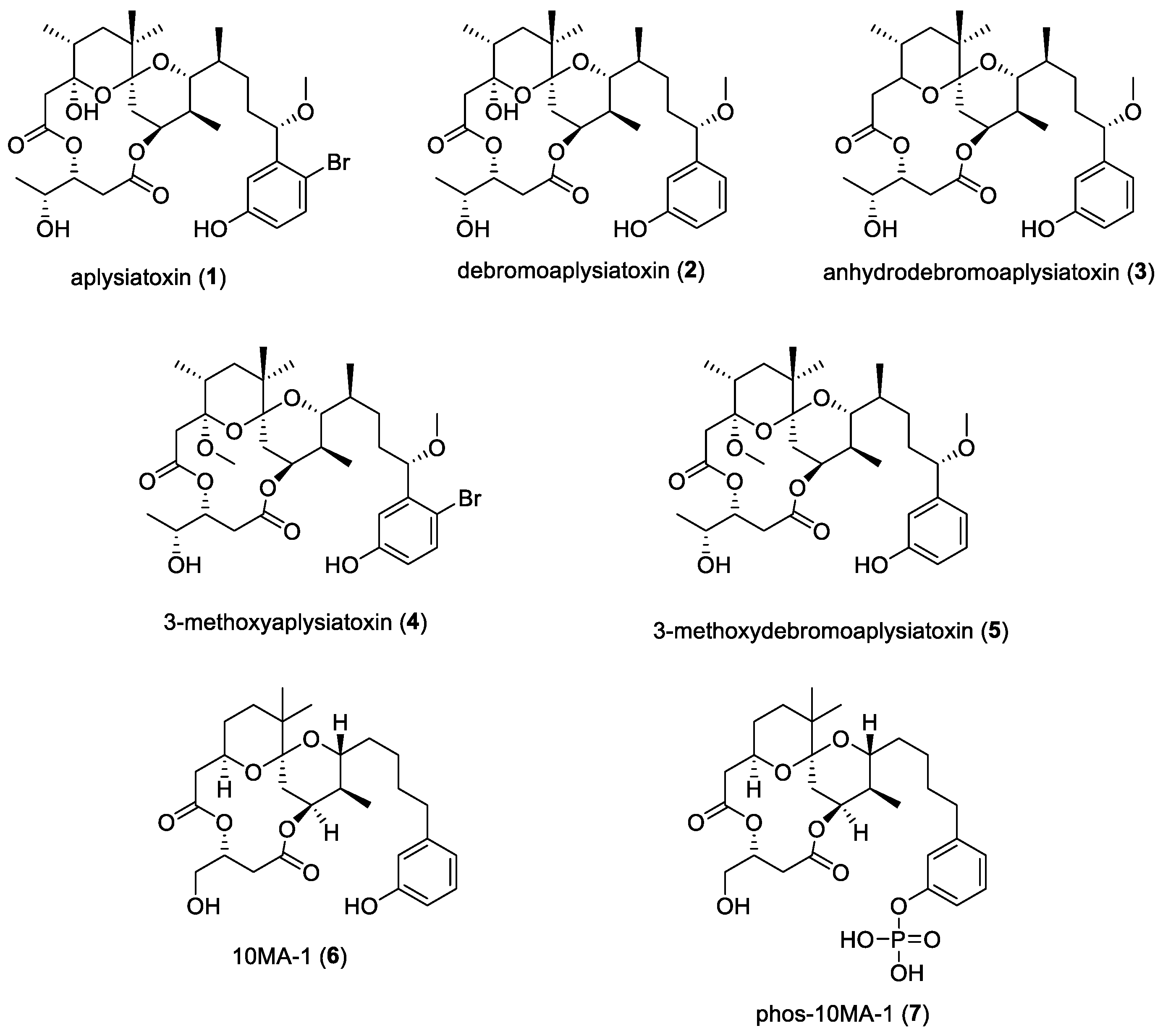 Molecules 29 05307 g001 Molecules 29 05307 g001
