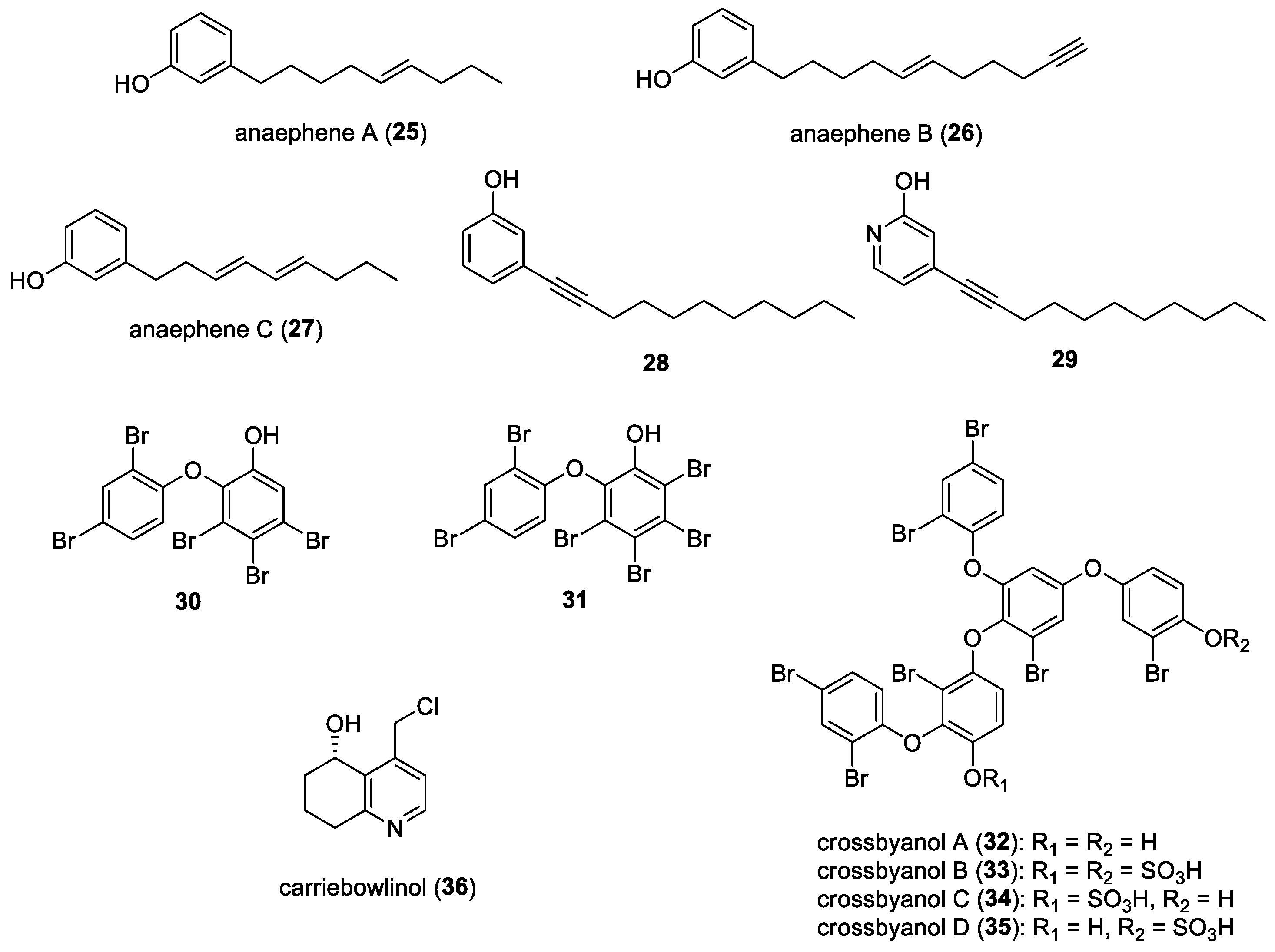 Molecules 29 05307 g005 Molecules 29 05307 g005