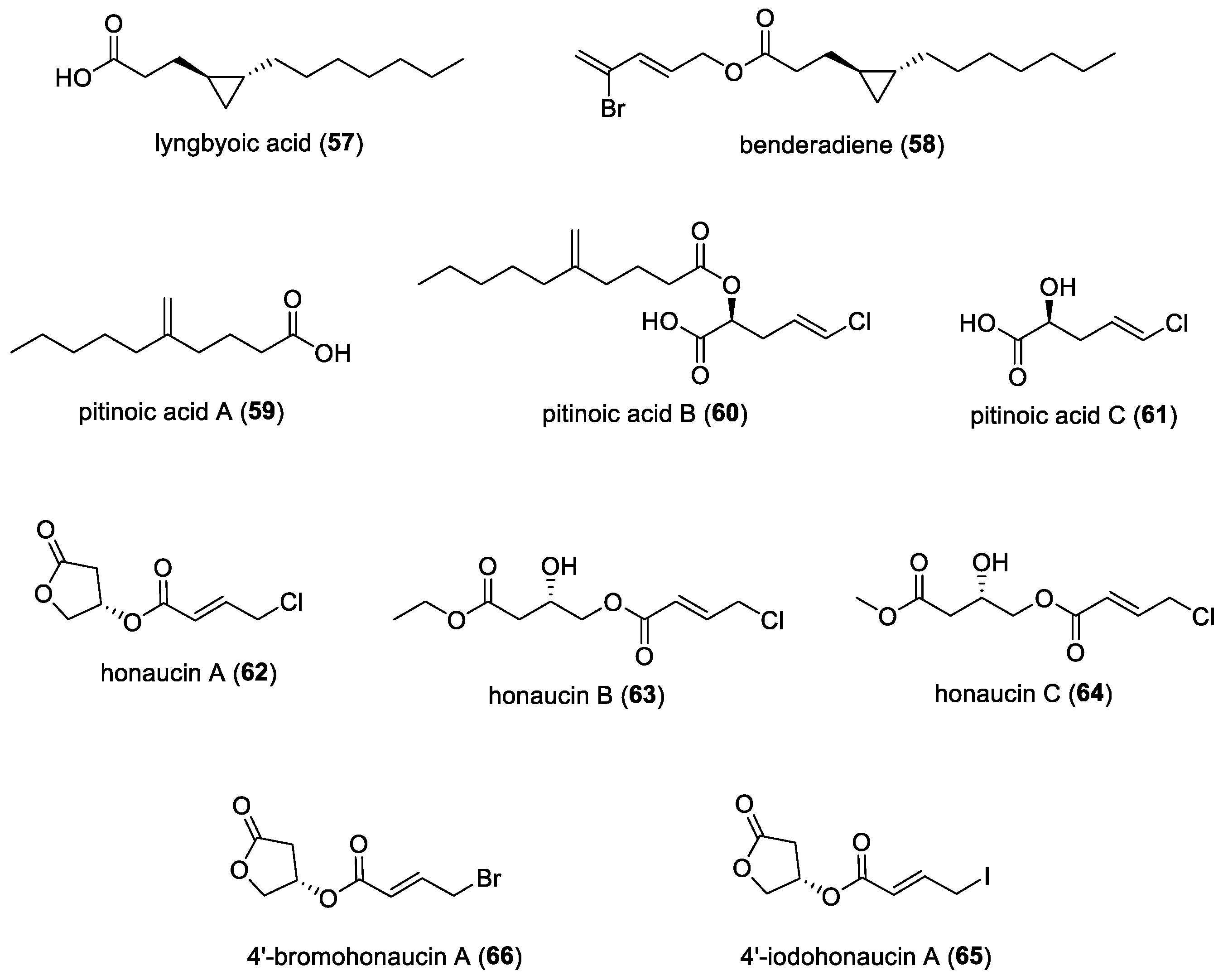 Molecules 29 05307 g009 Molecules 29 05307 g009