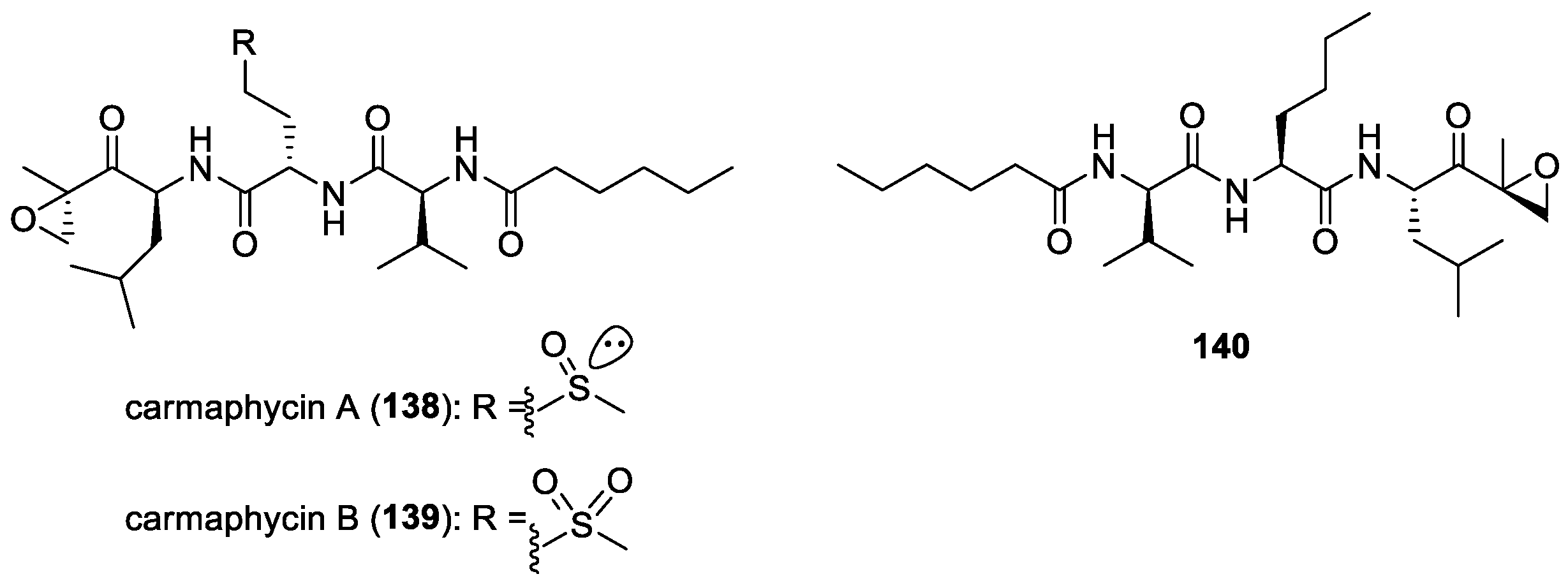Molecules 29 05307 g020 Molecules 29 05307 g020