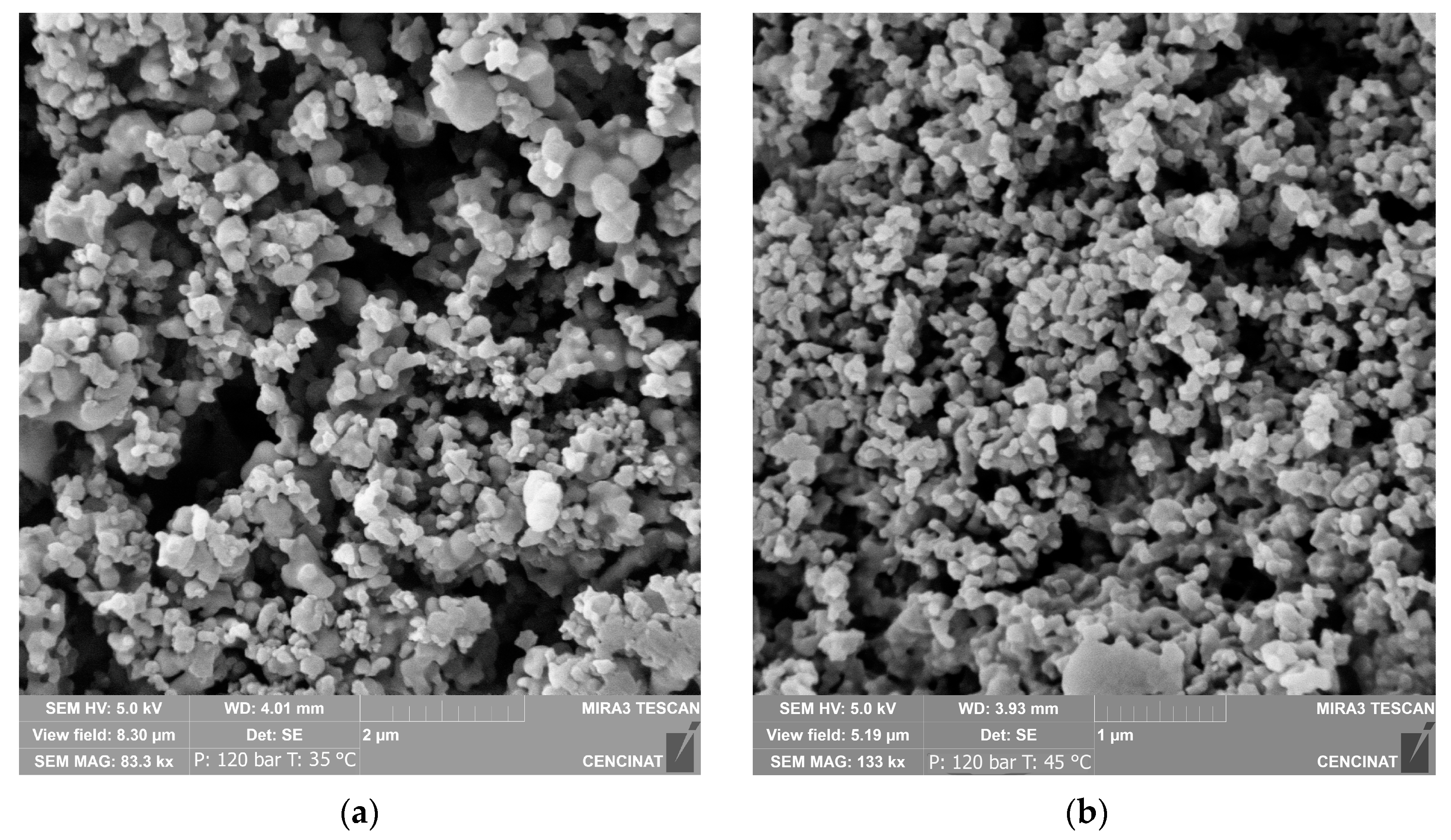 Molecules 29 05309 g001