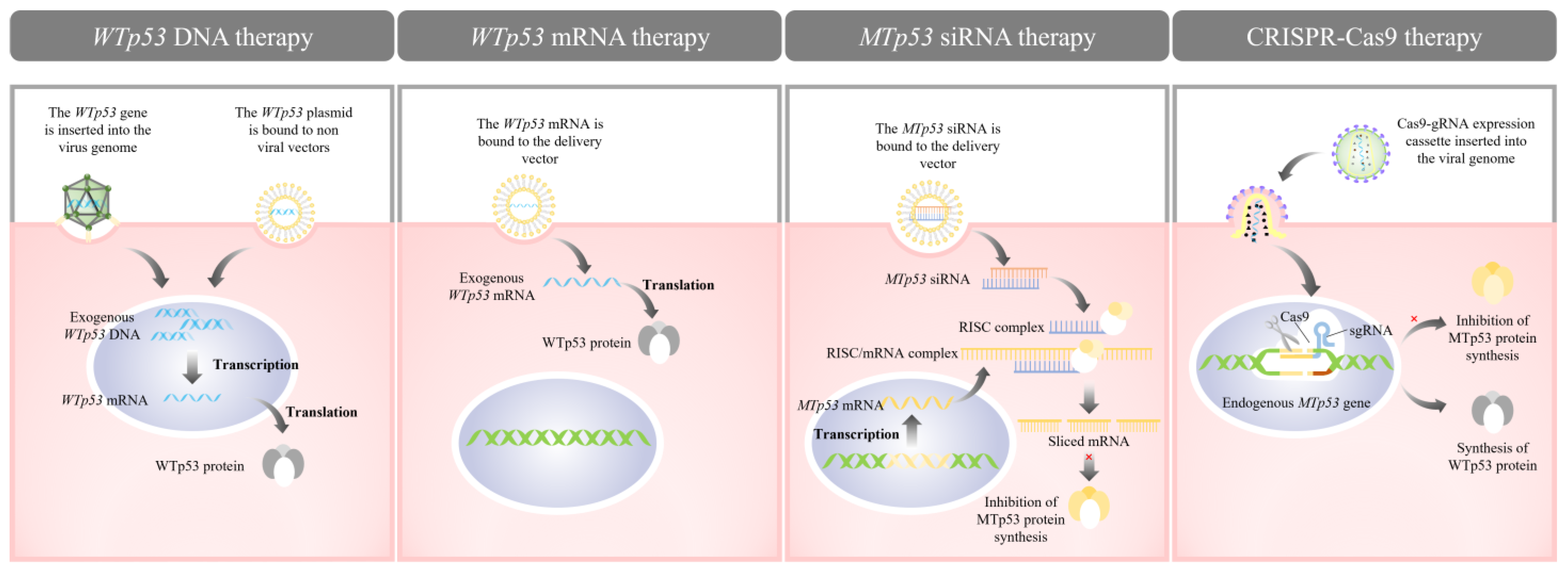 Molecules 29 05315 g002