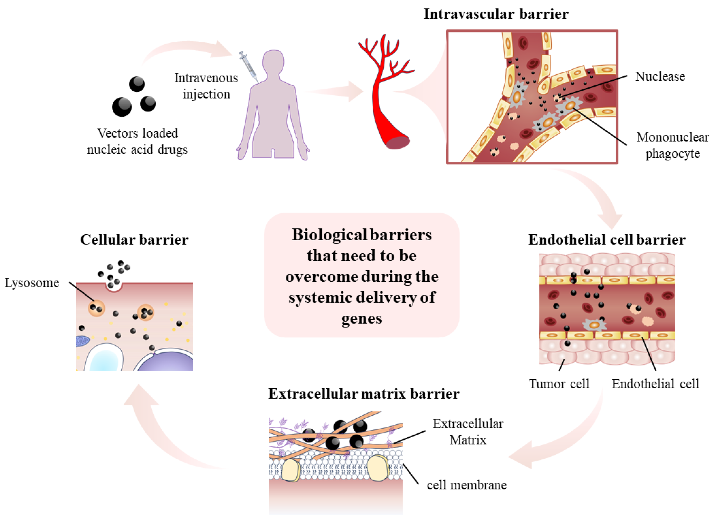Molecules 29 05315 g003