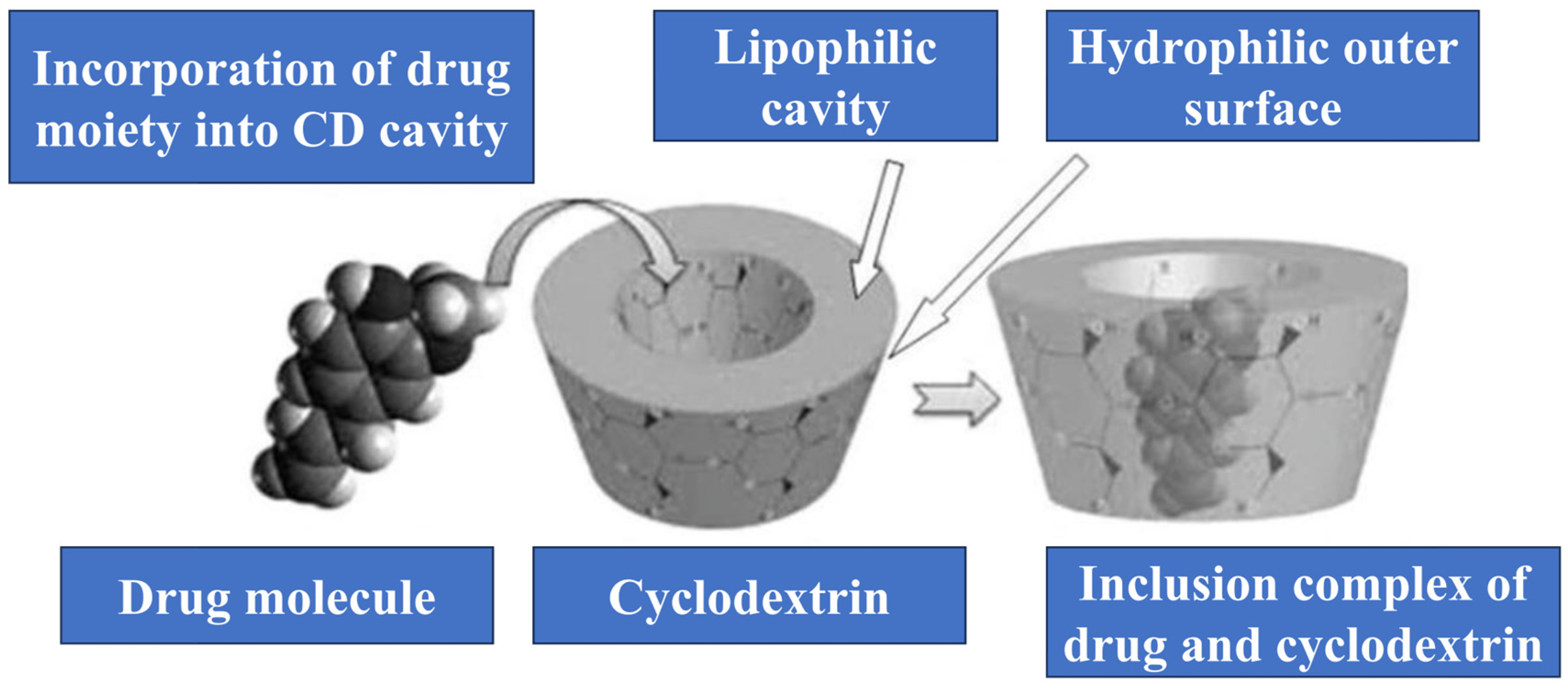Molecules 29 05319 g002