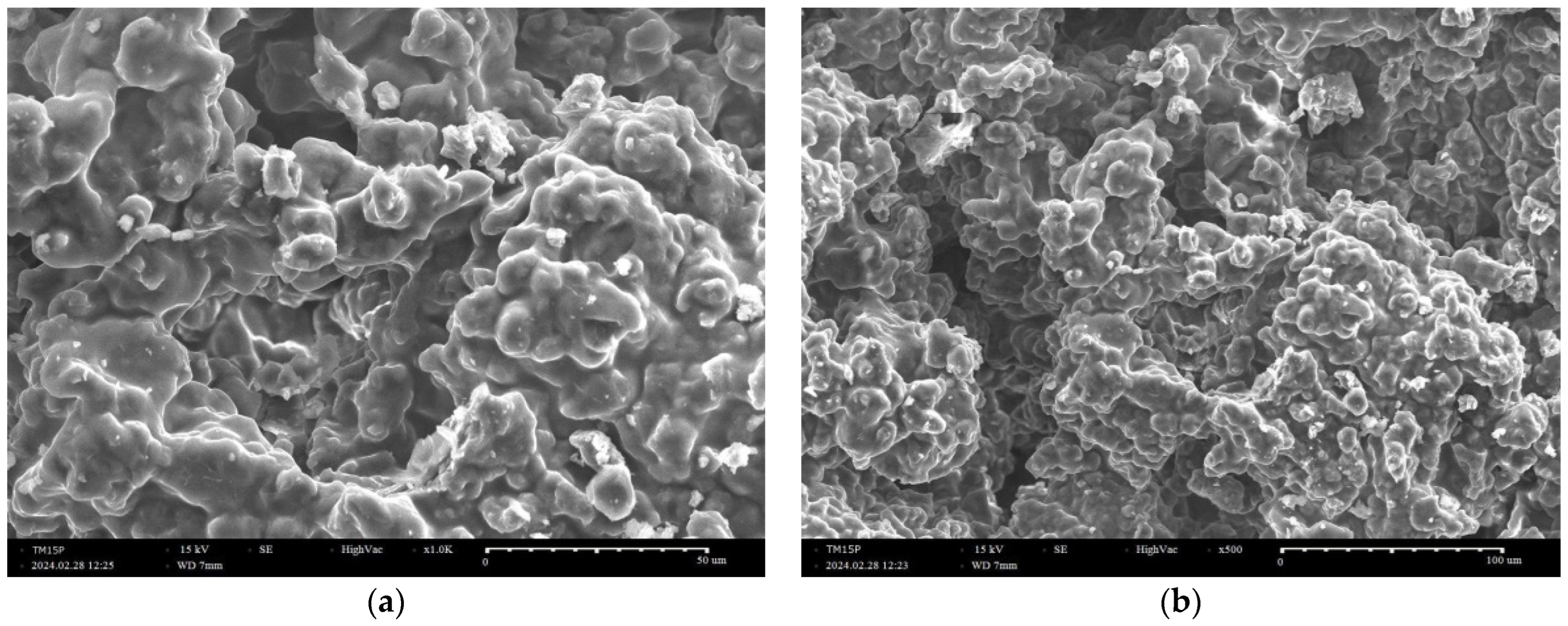 Molecules 29 05322 g002
