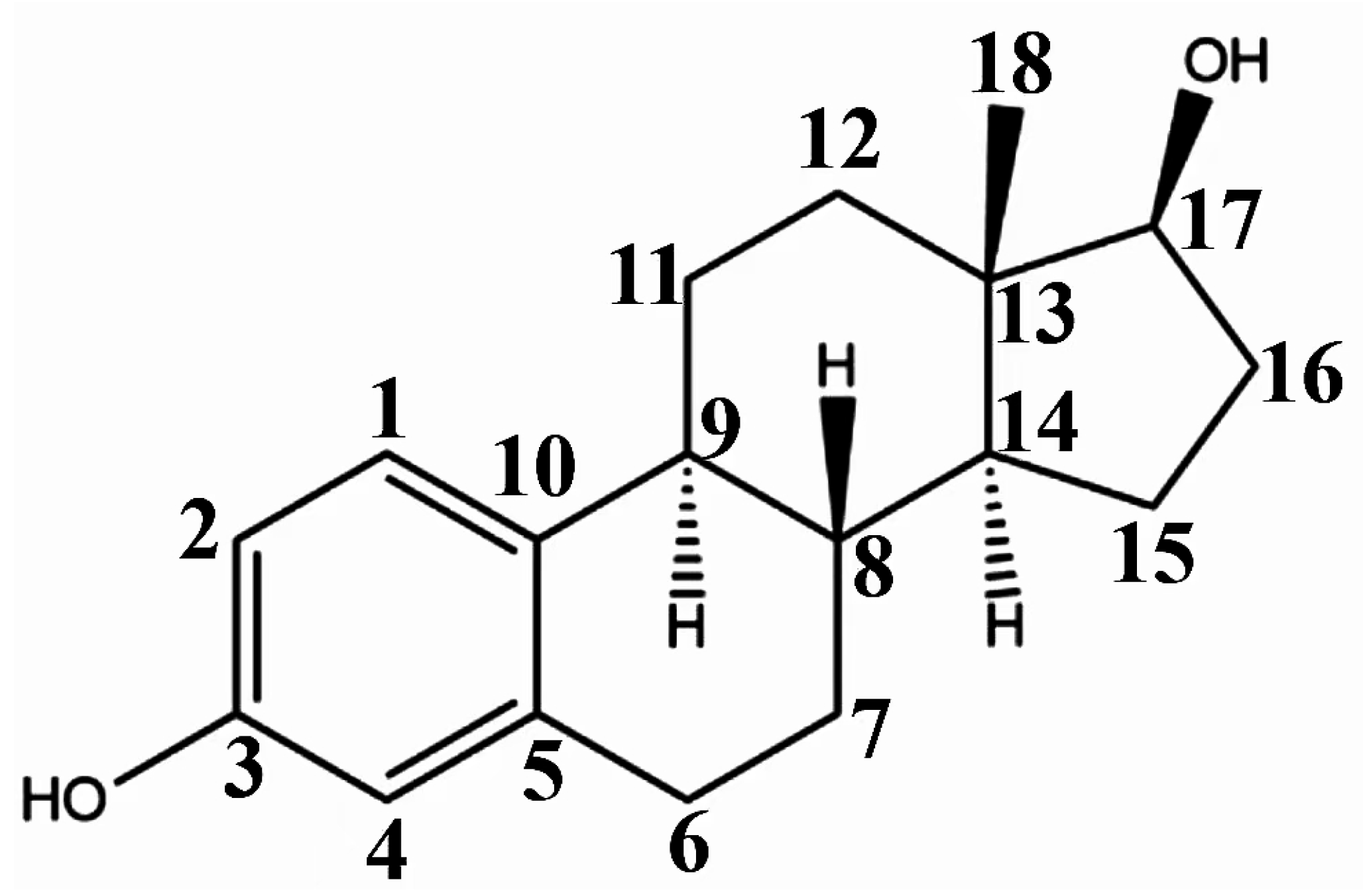 Molecules 29 05328 g001