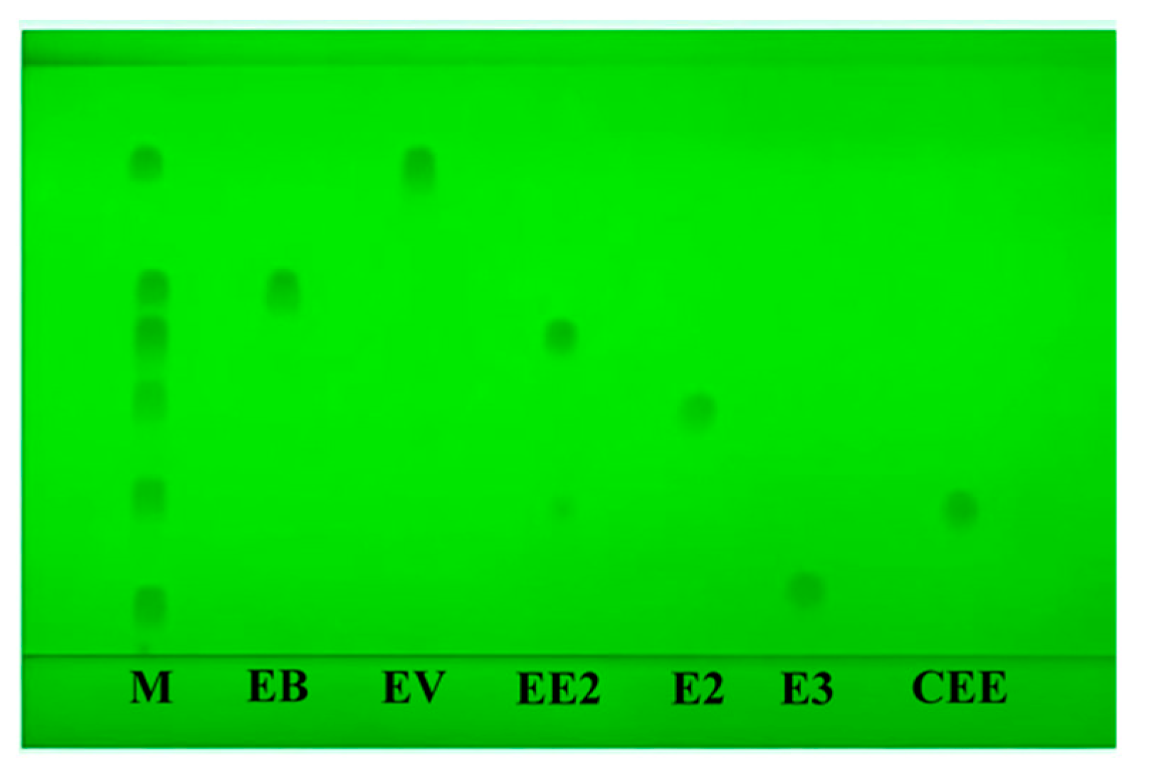 Molecules 29 05328 g003