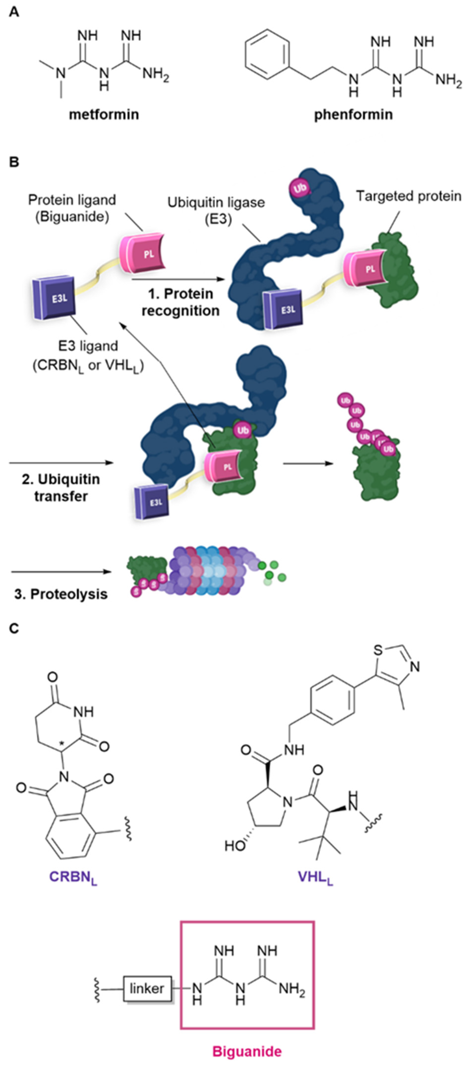 Molecules 29 05329 g001
