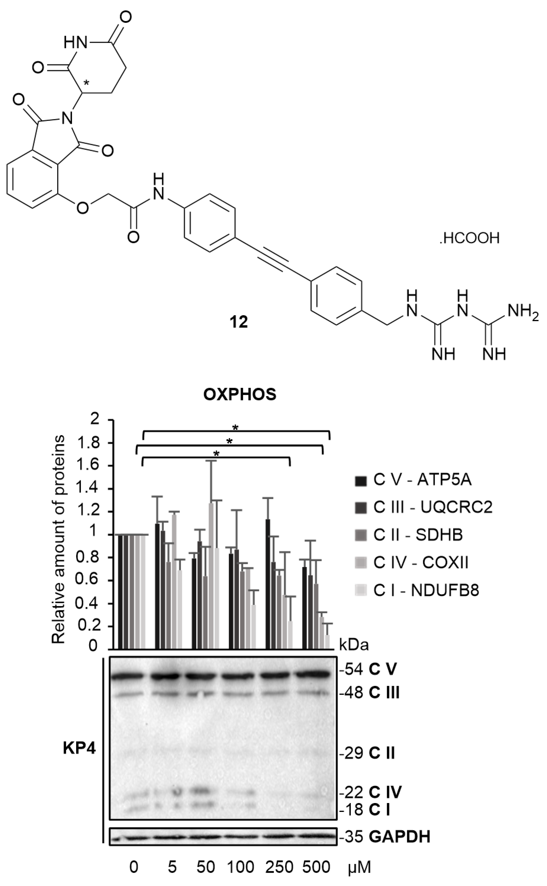 Molecules 29 05329 g004