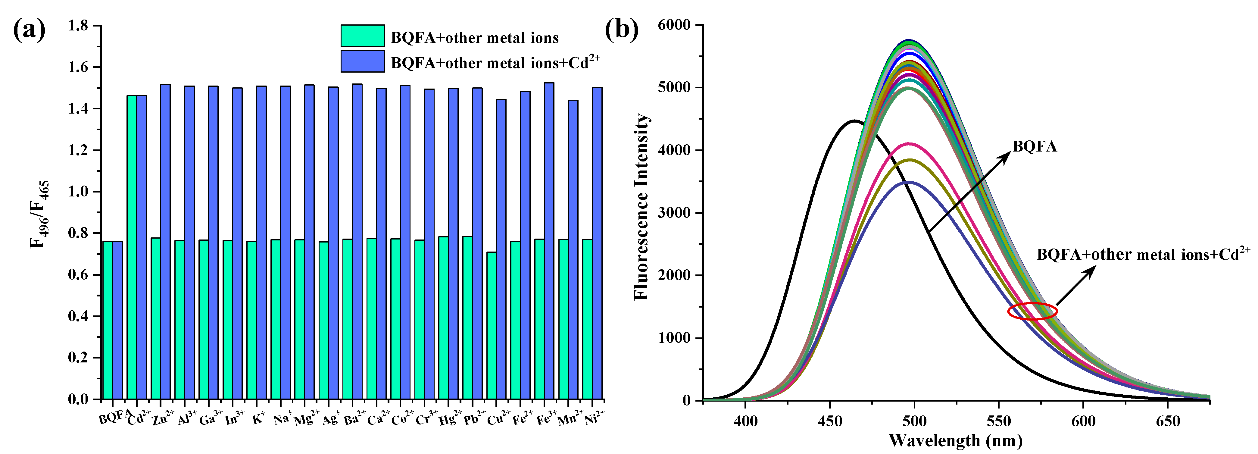 Molecules 29 05331 g002