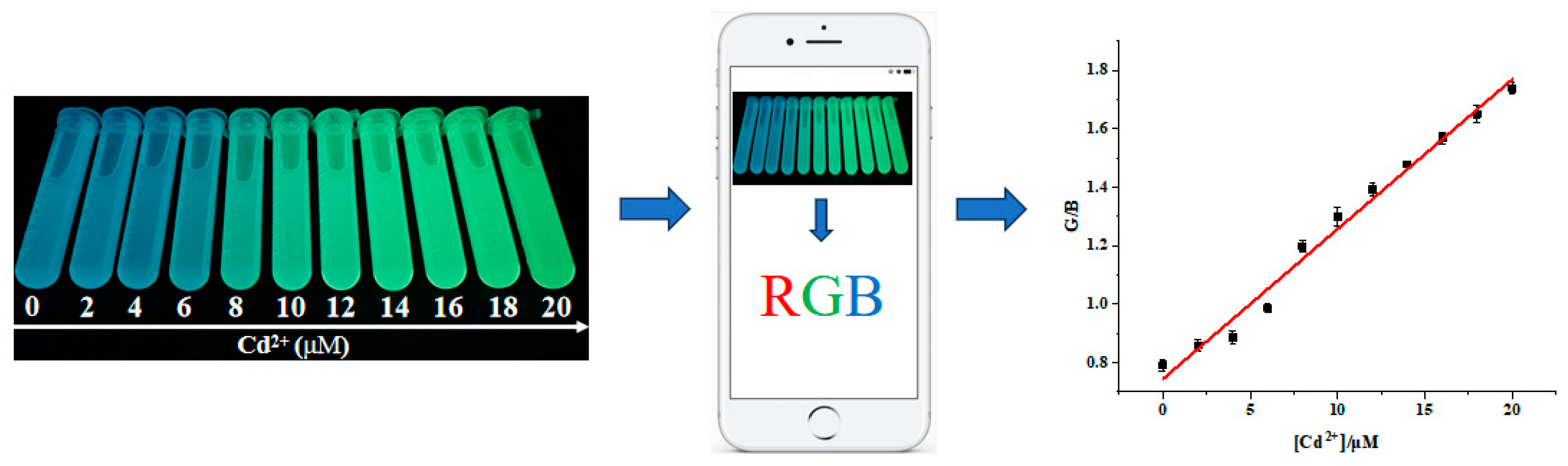 Molecules 29 05331 g006