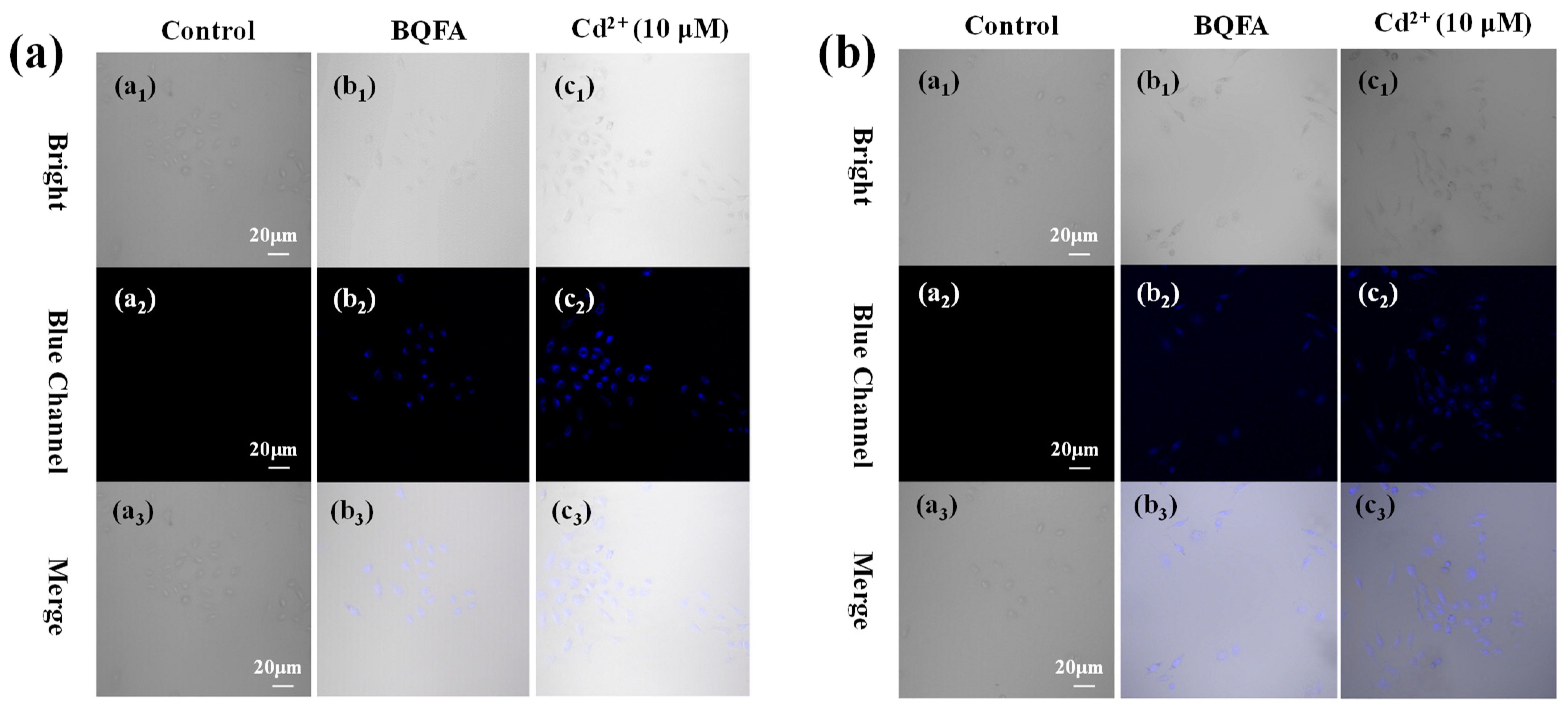 Molecules 29 05331 g007