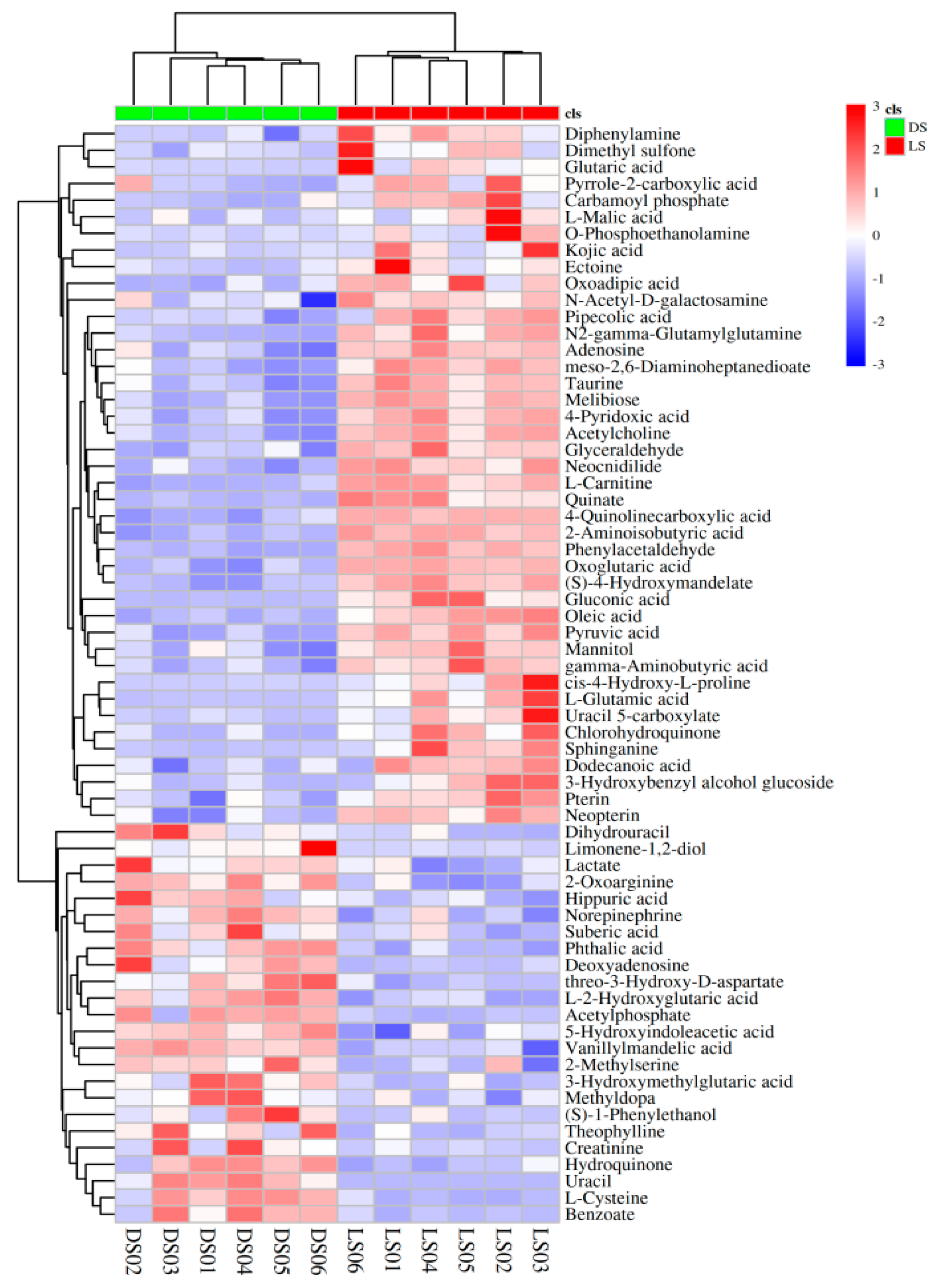 Molecules 29 05333 g003