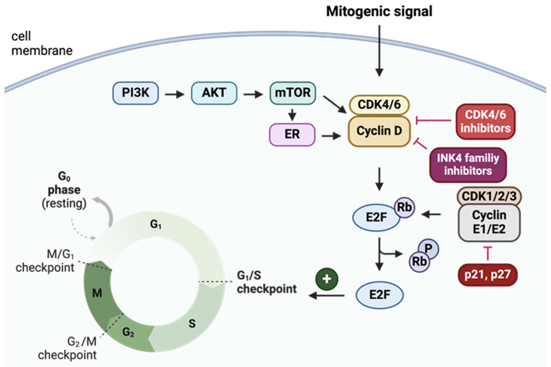 Molecules 29 05334 g001