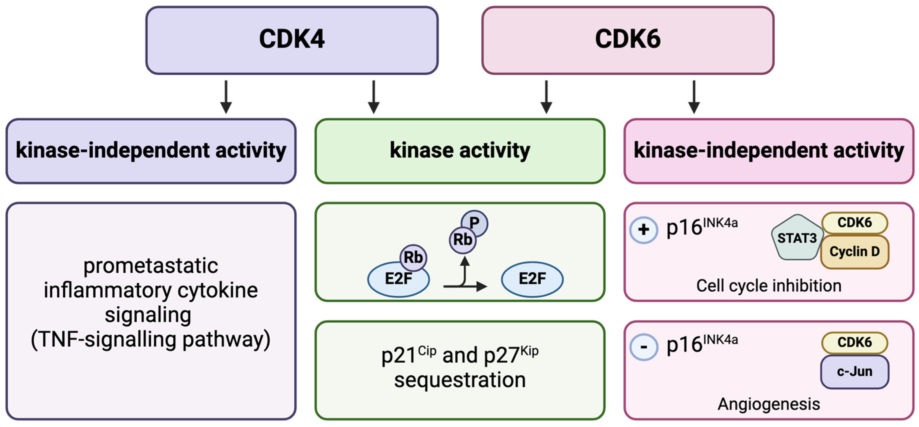Molecules 29 05334 g002