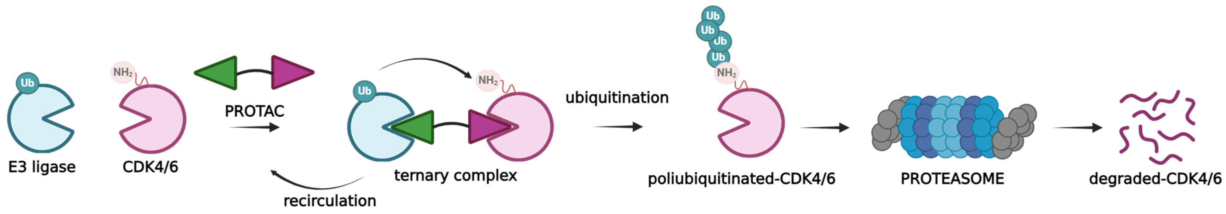 Molecules 29 05334 g006