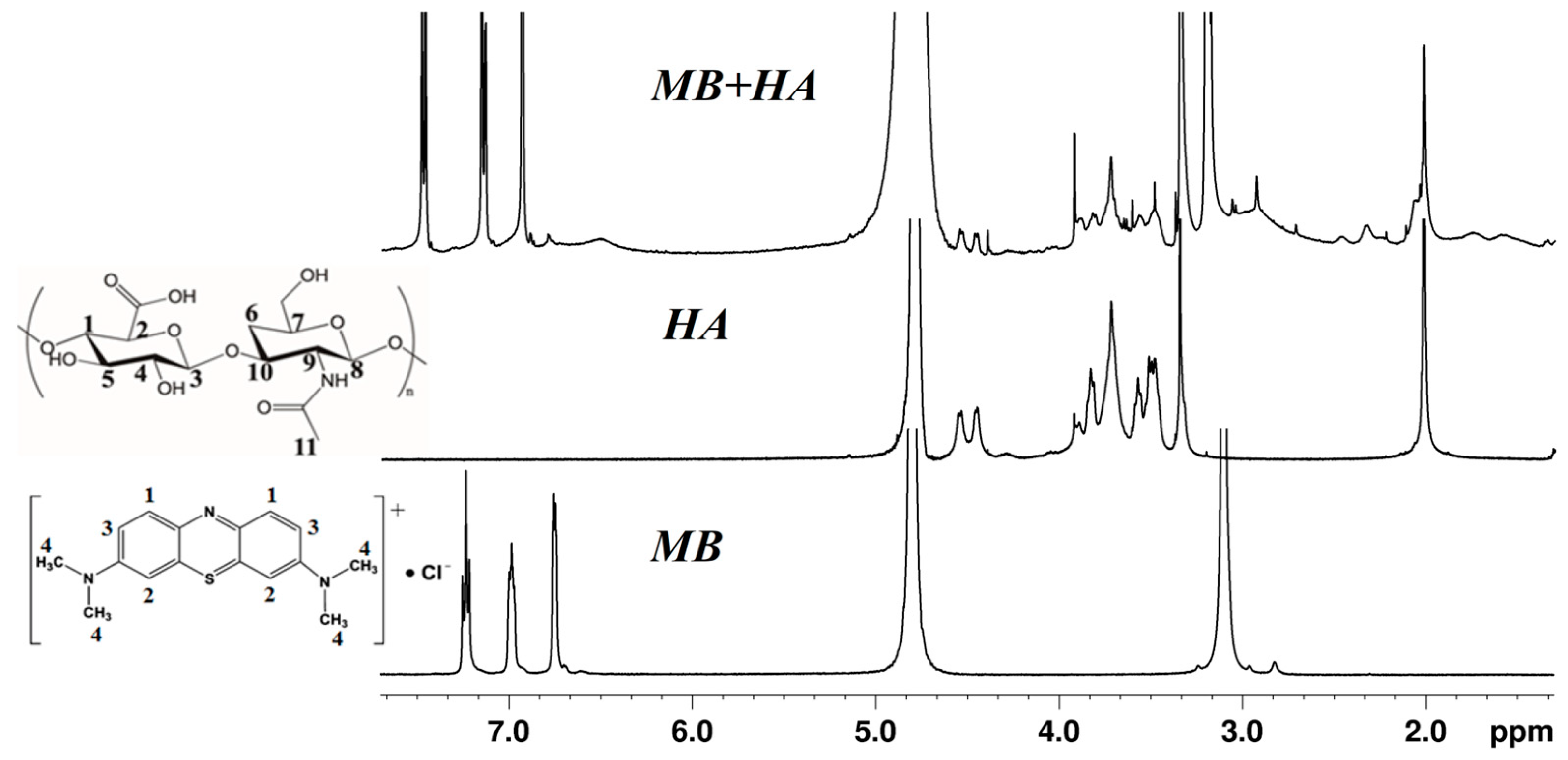 Molecules 29 05336 g003