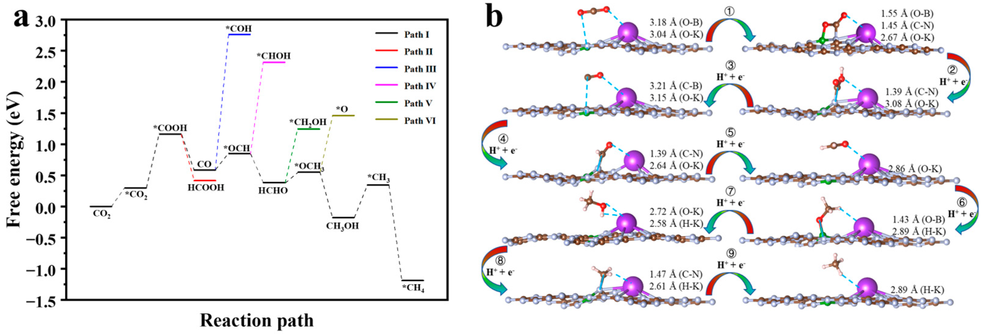 Molecules 29 05339 g009