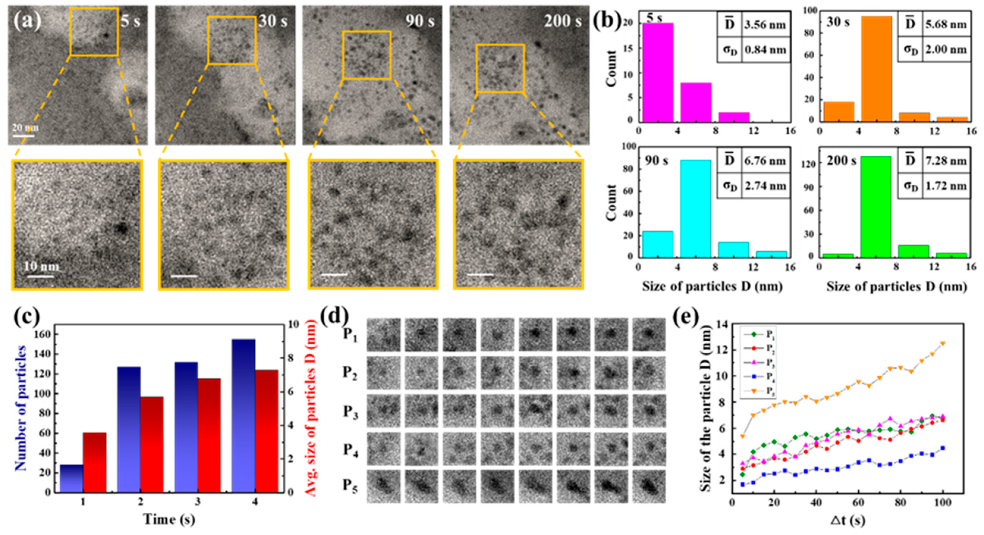 Molecules 29 05342 g001