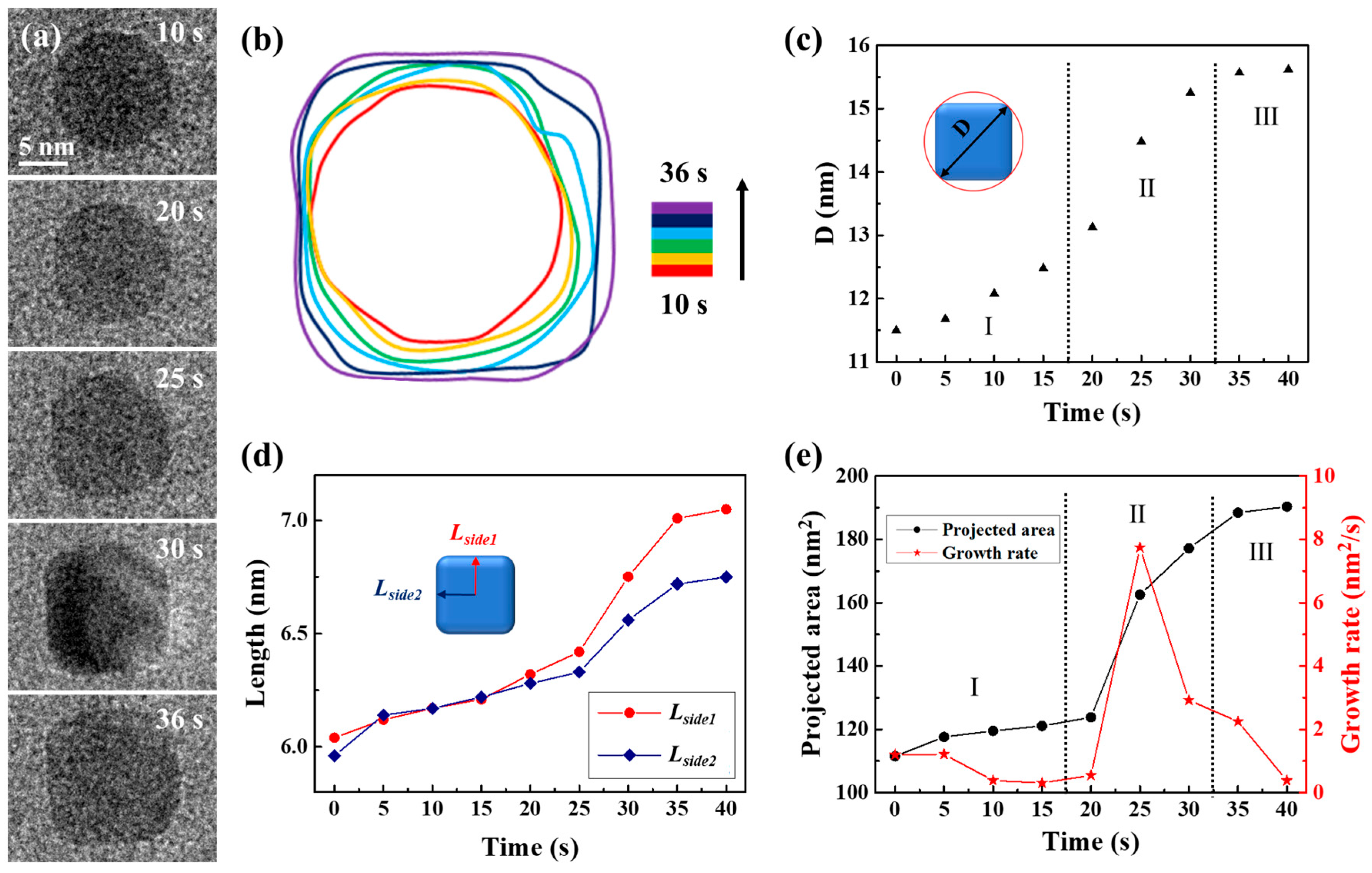Molecules 29 05342 g003