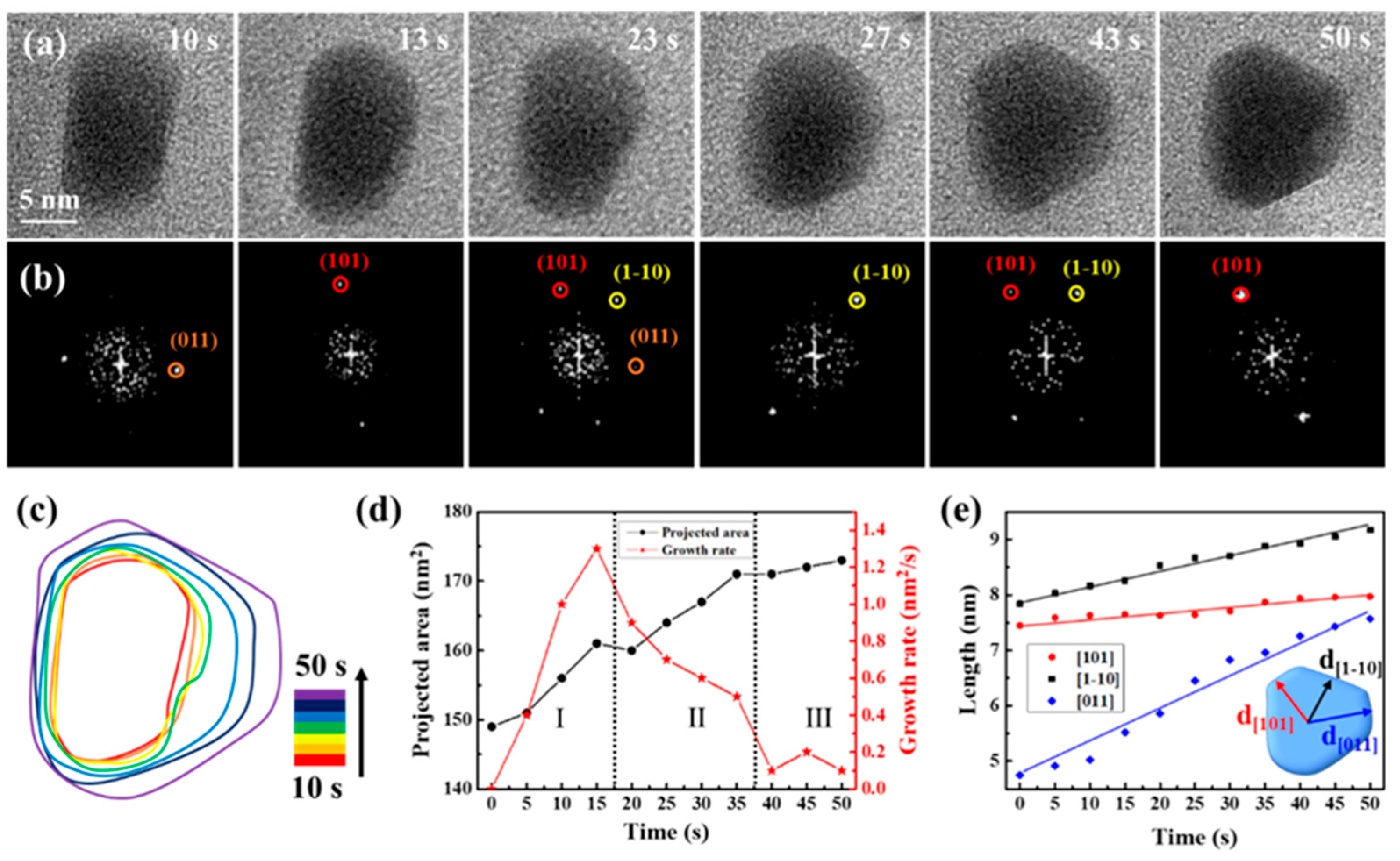 Molecules 29 05342 g004