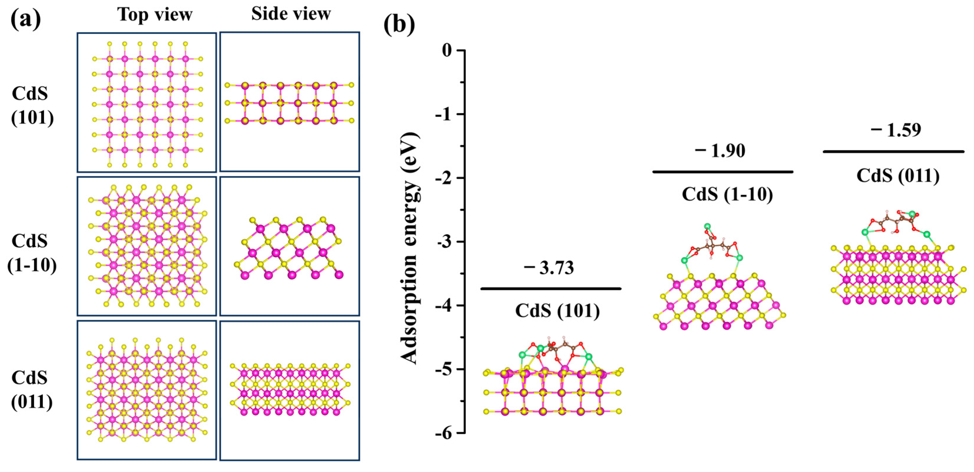 Molecules 29 05342 g005