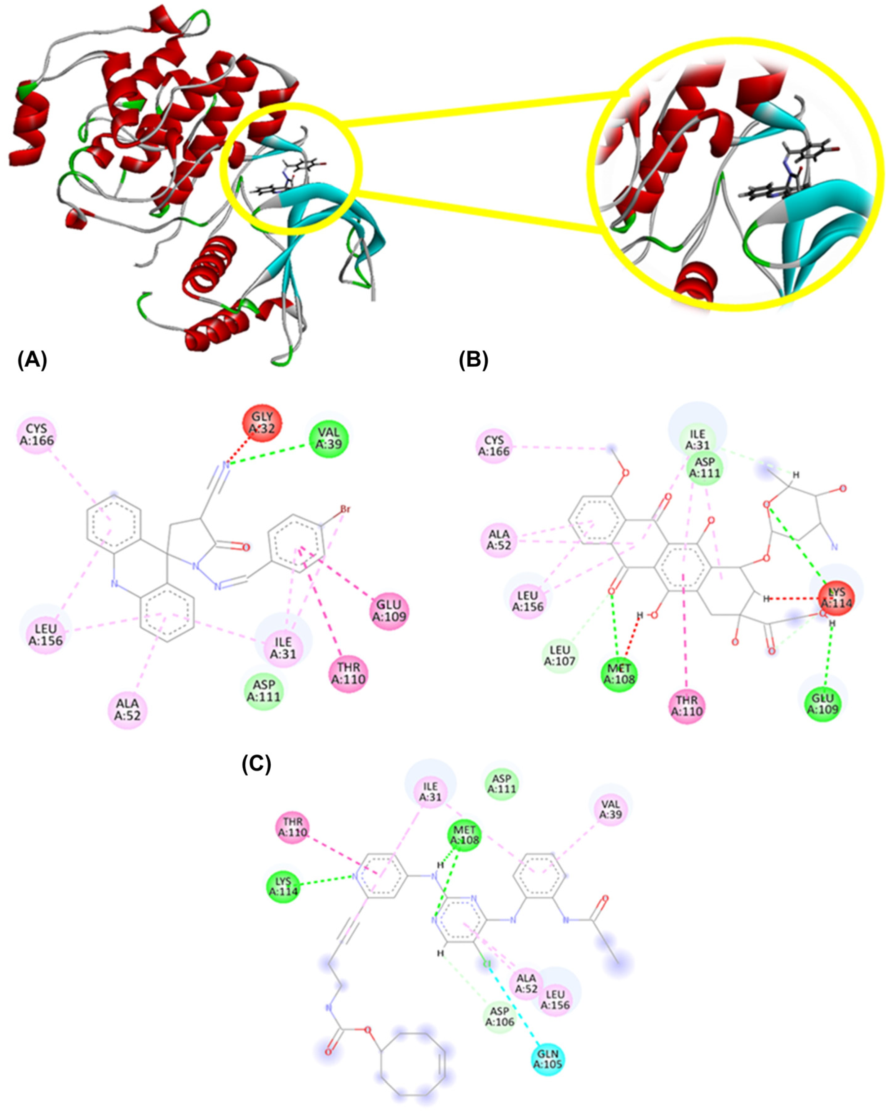 Molecules 29 05344 g003
