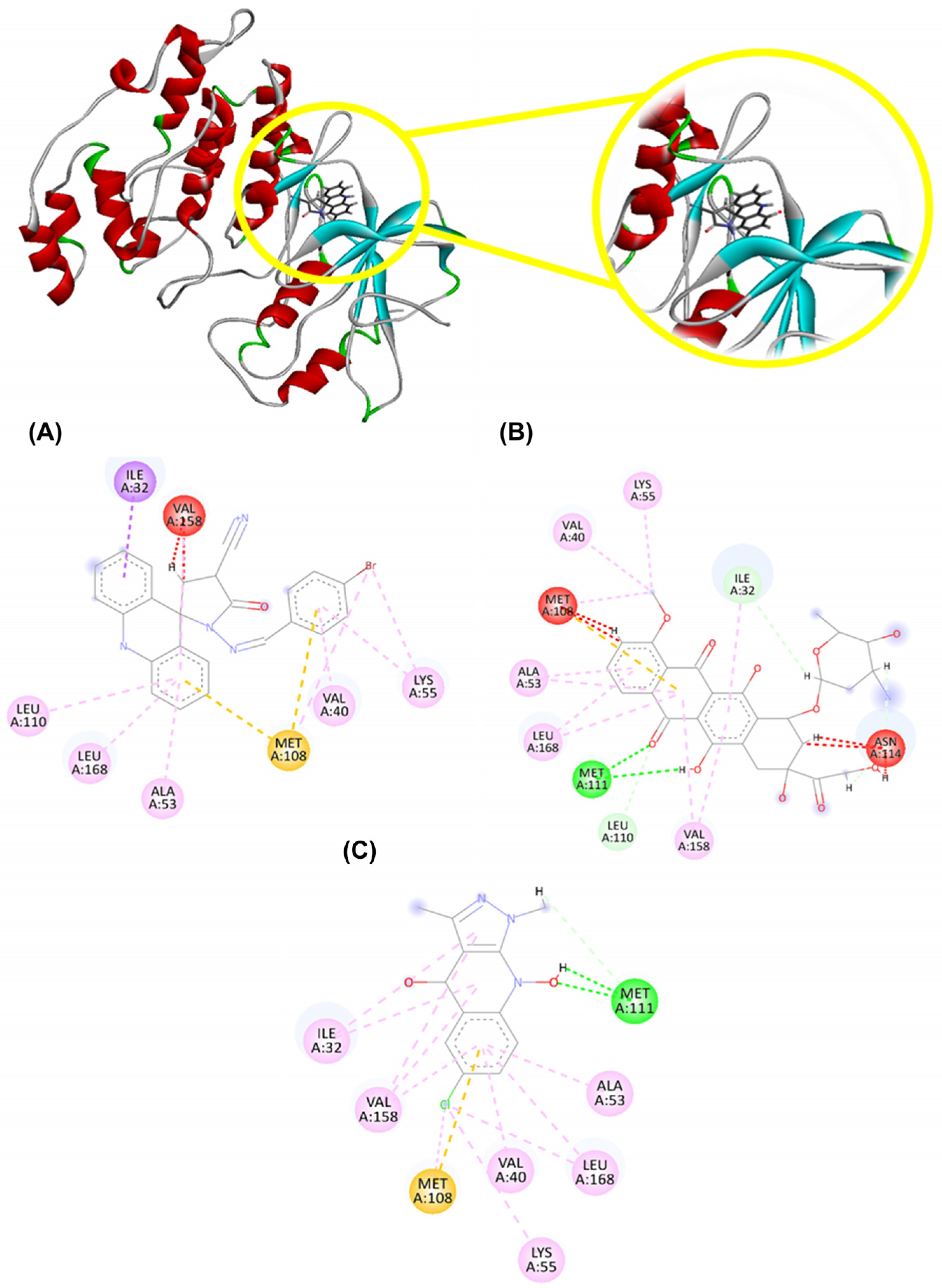 Molecules 29 05344 g004