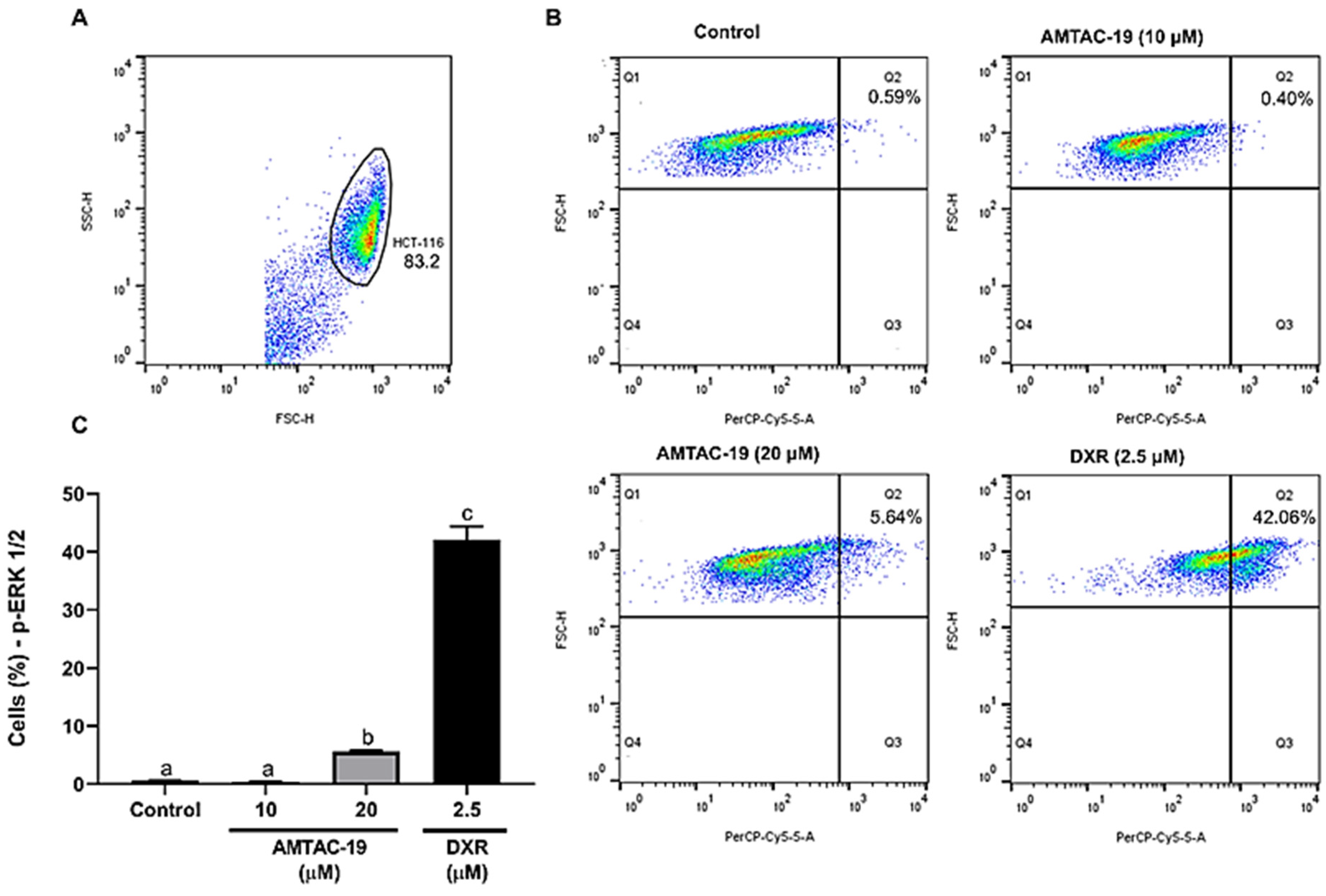 Molecules 29 05344 g006