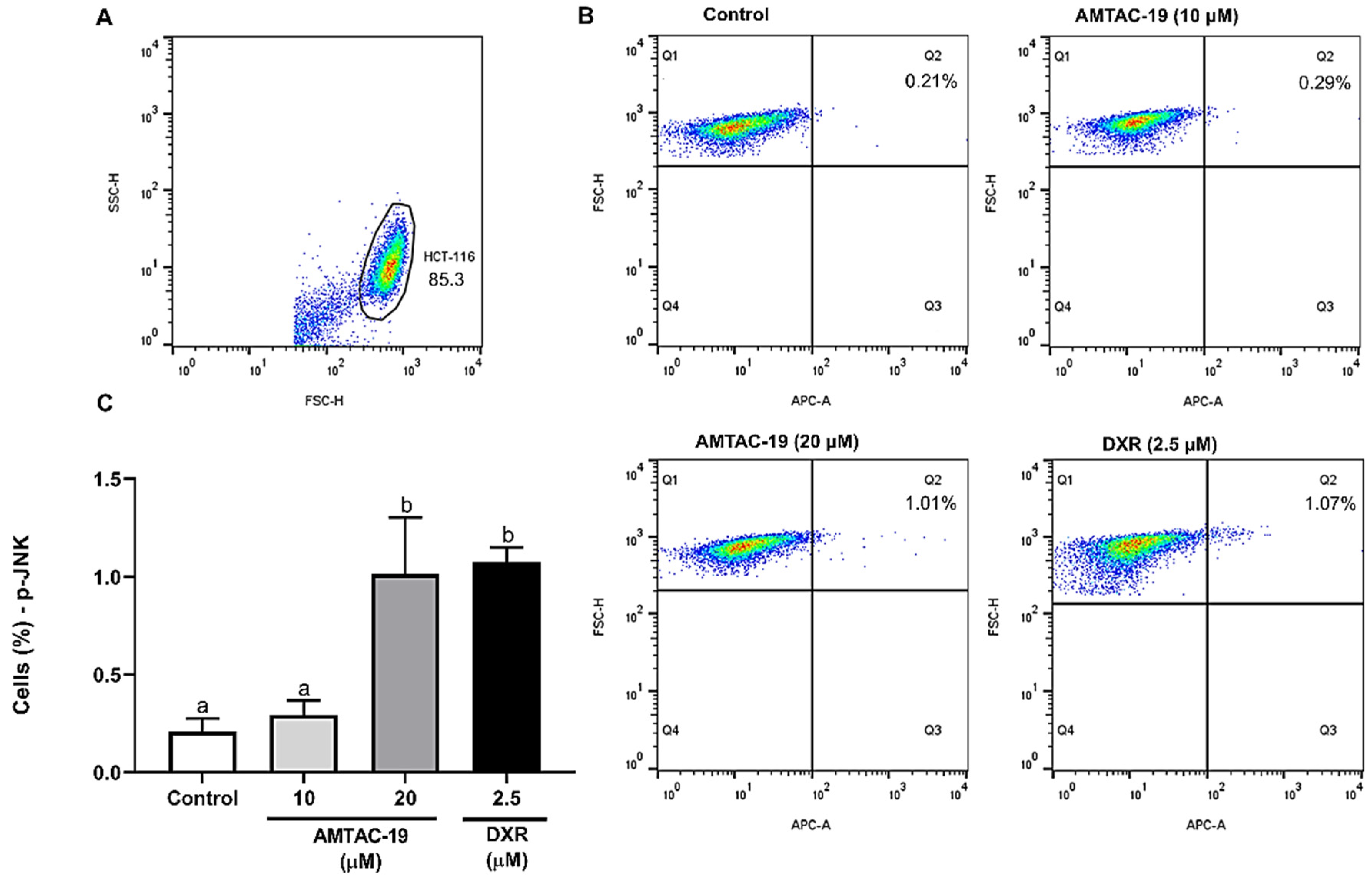 Molecules 29 05344 g007