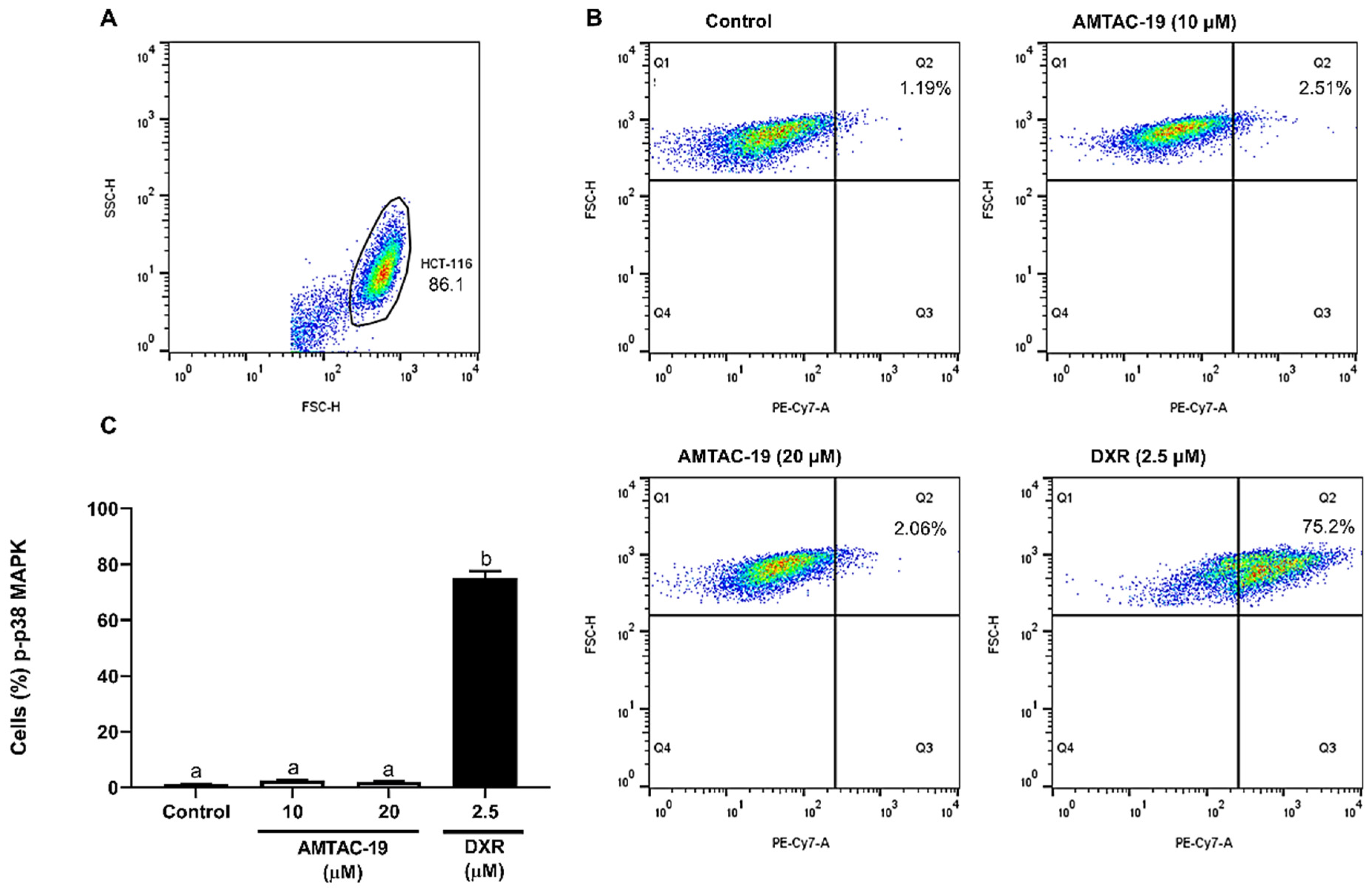 Molecules 29 05344 g008