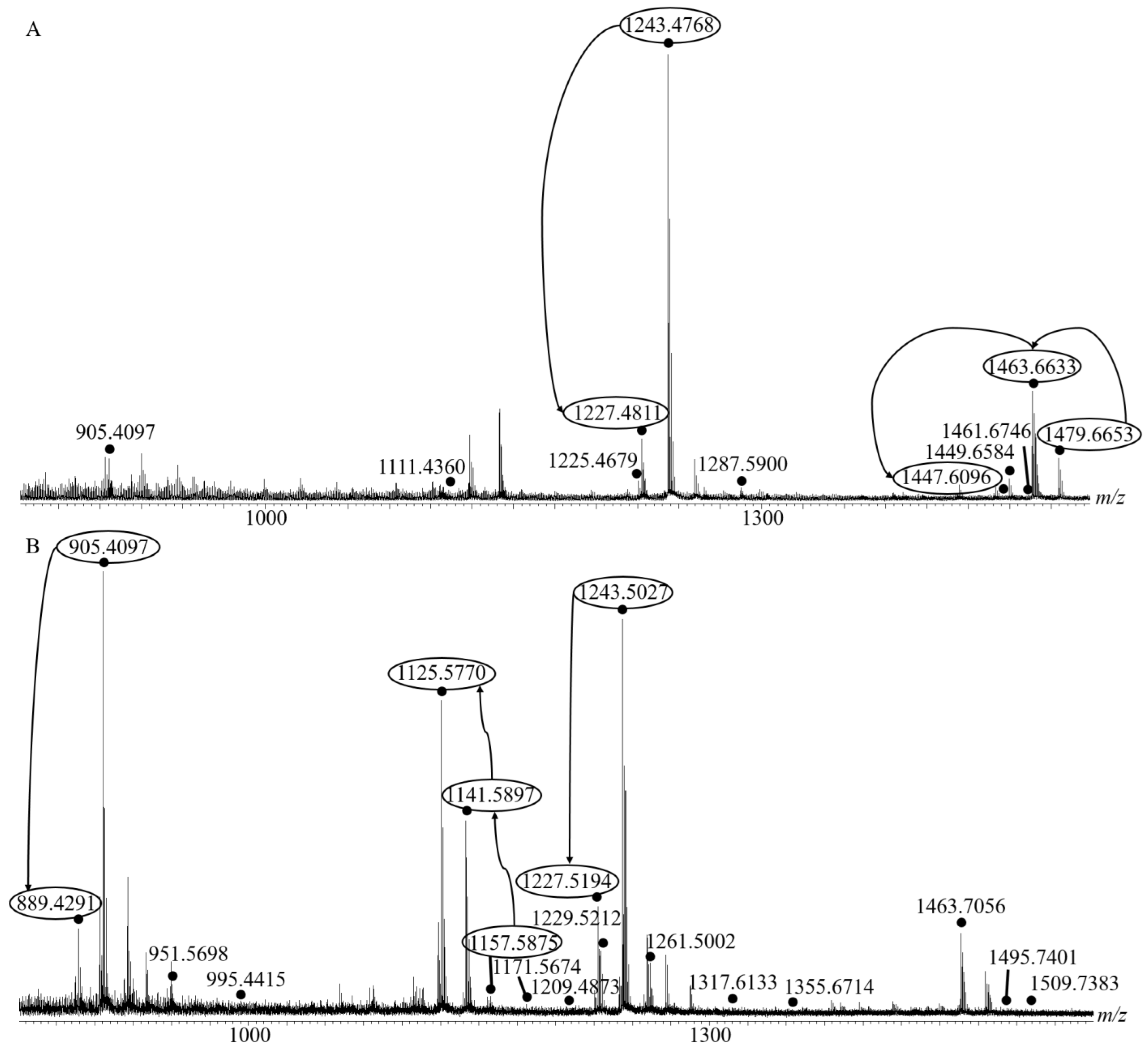Molecules 29 05346 g001