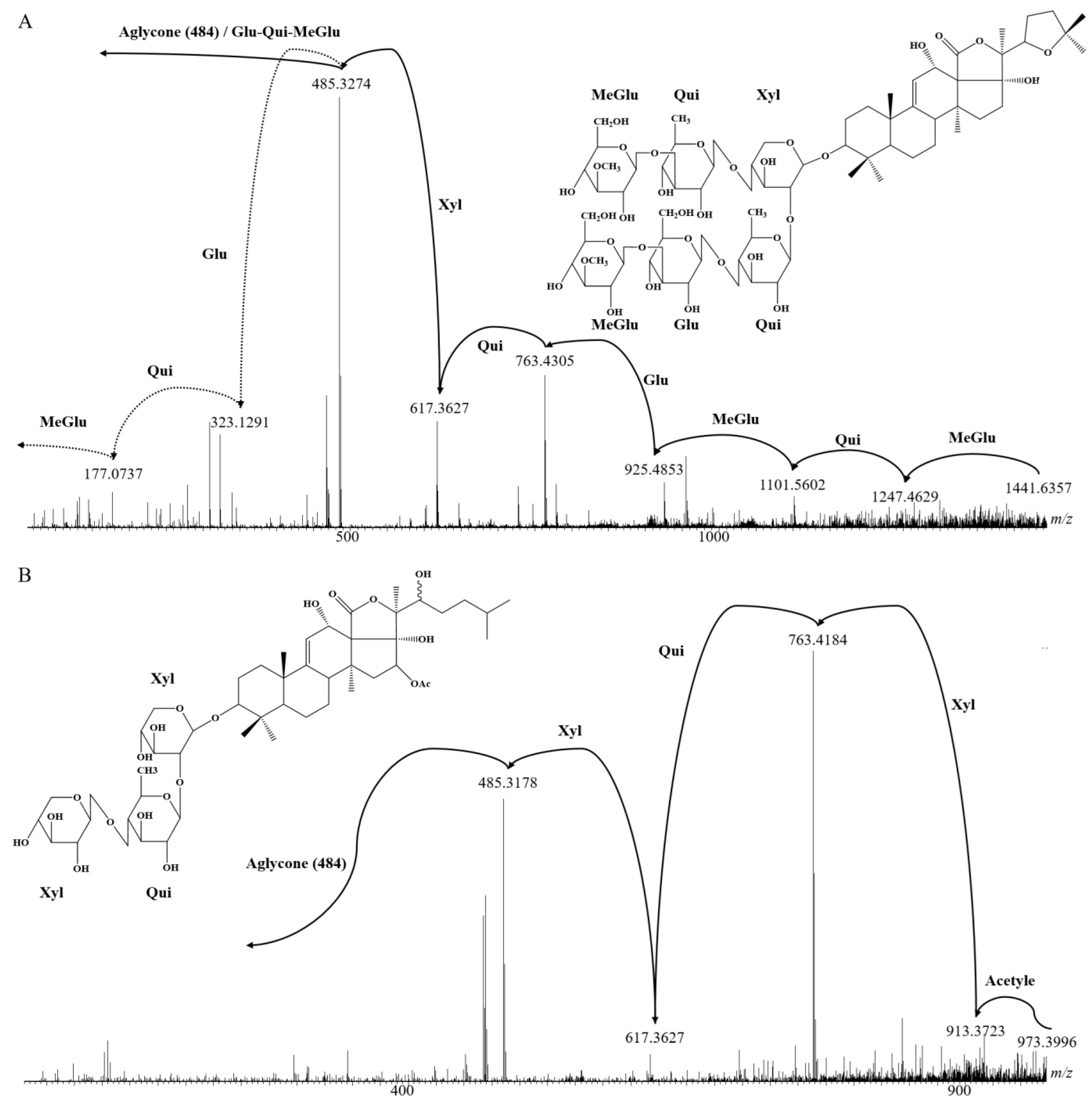 Molecules 29 05346 g002